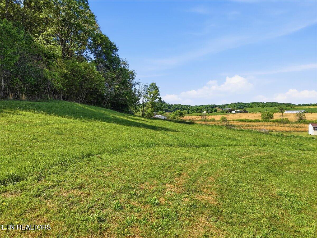 285 Matthews Lane Mosheim TN 37818