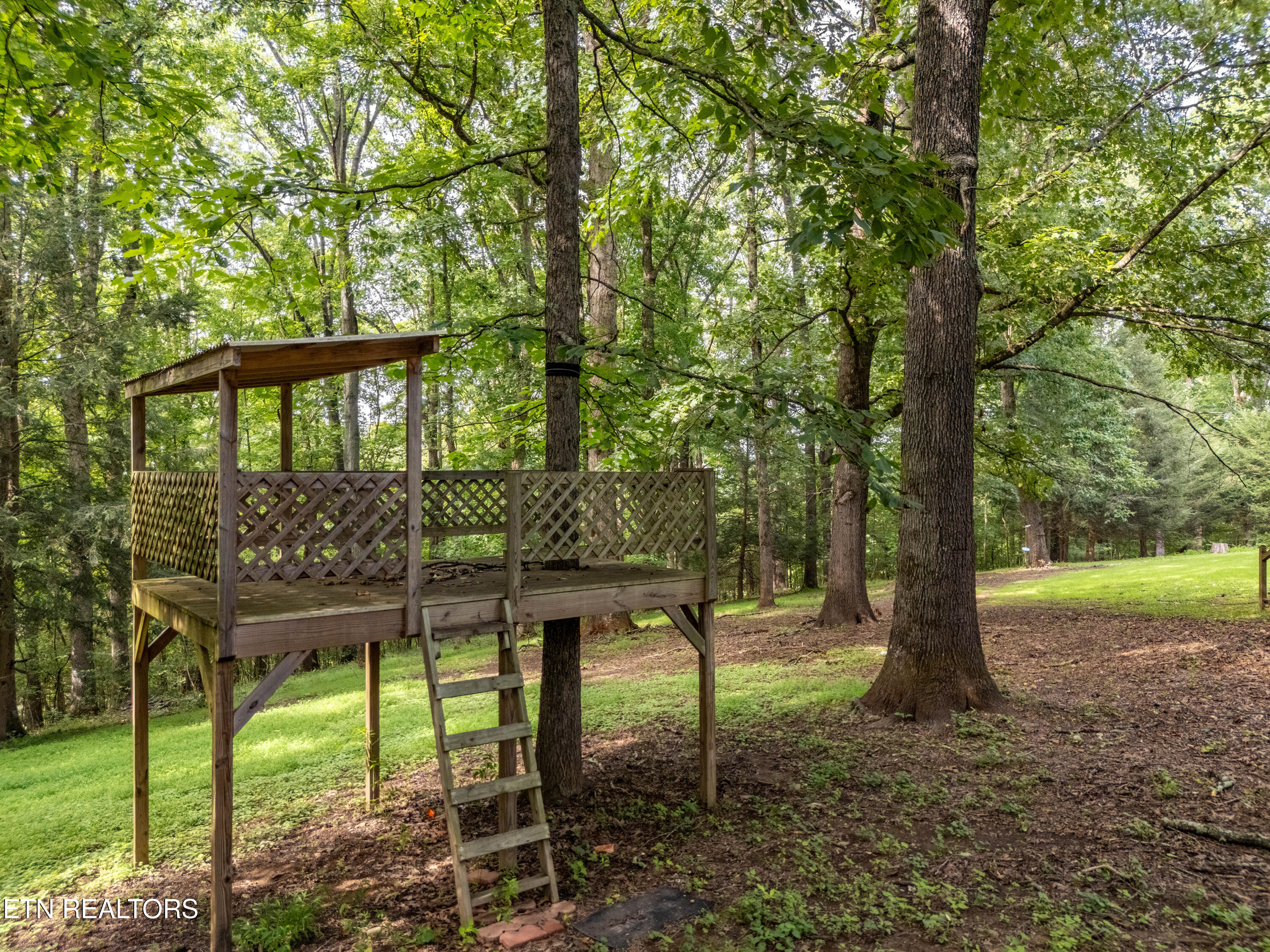 167 Rendezvous Road Rockwood TN 37854