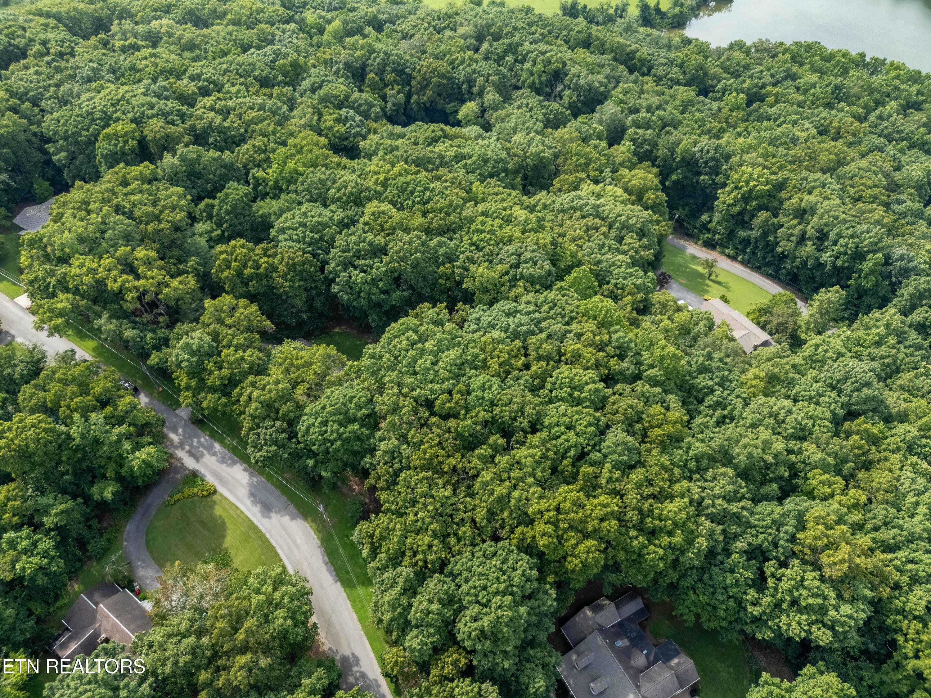 167 Rendezvous Road Rockwood TN 37854