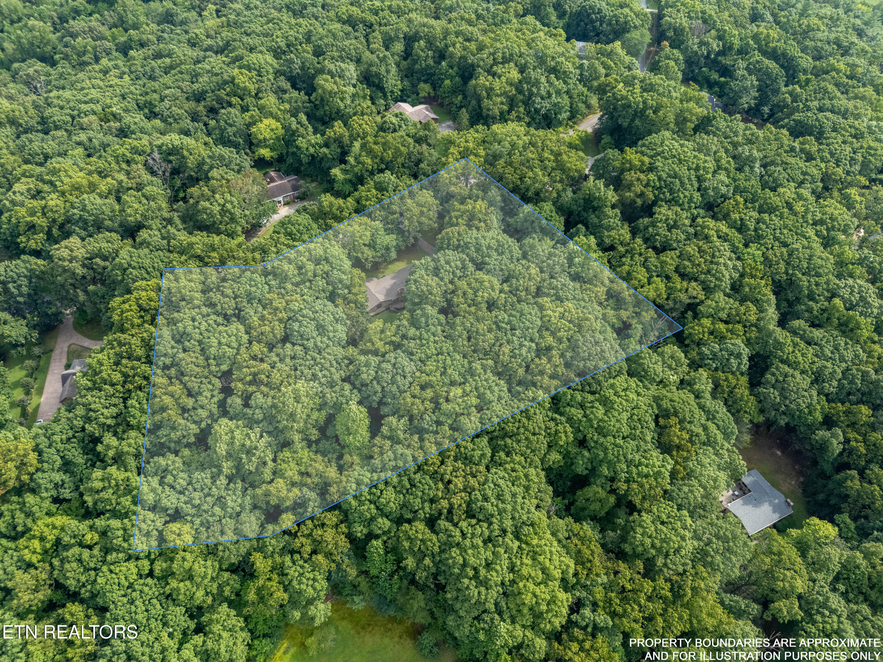 167 Rendezvous Road Rockwood TN 37854