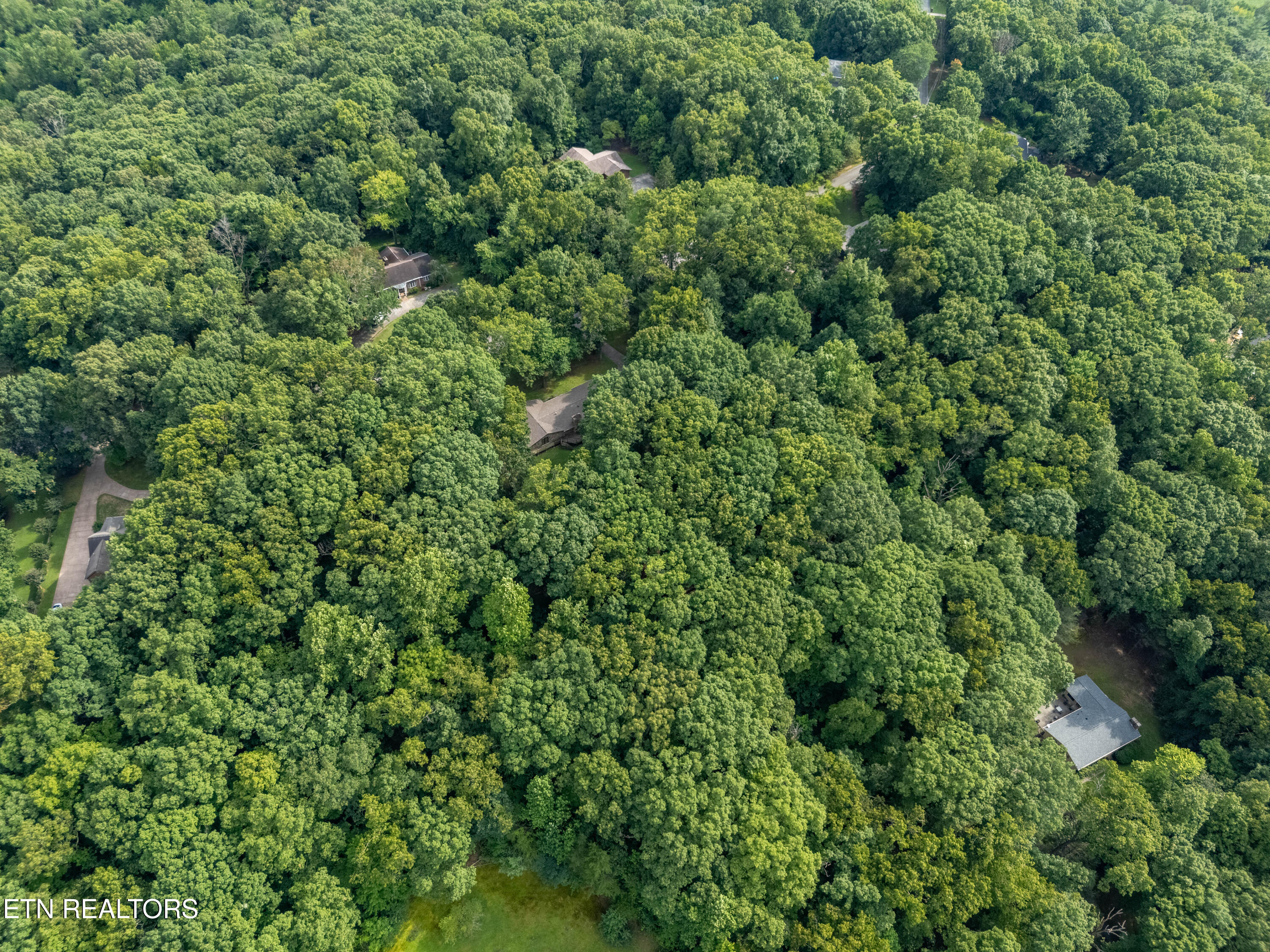 167 Rendezvous Road Rockwood TN 37854