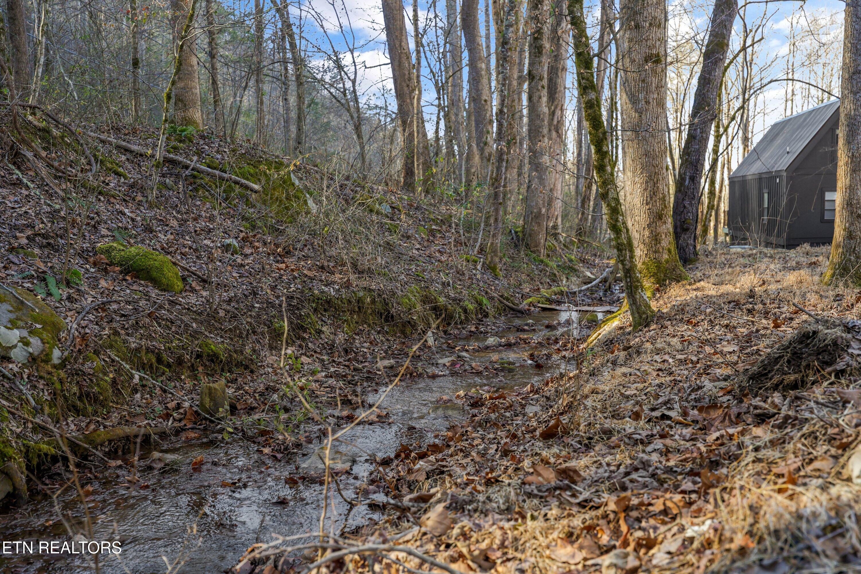 210 Braydens Way Gatlinburg TN 37738