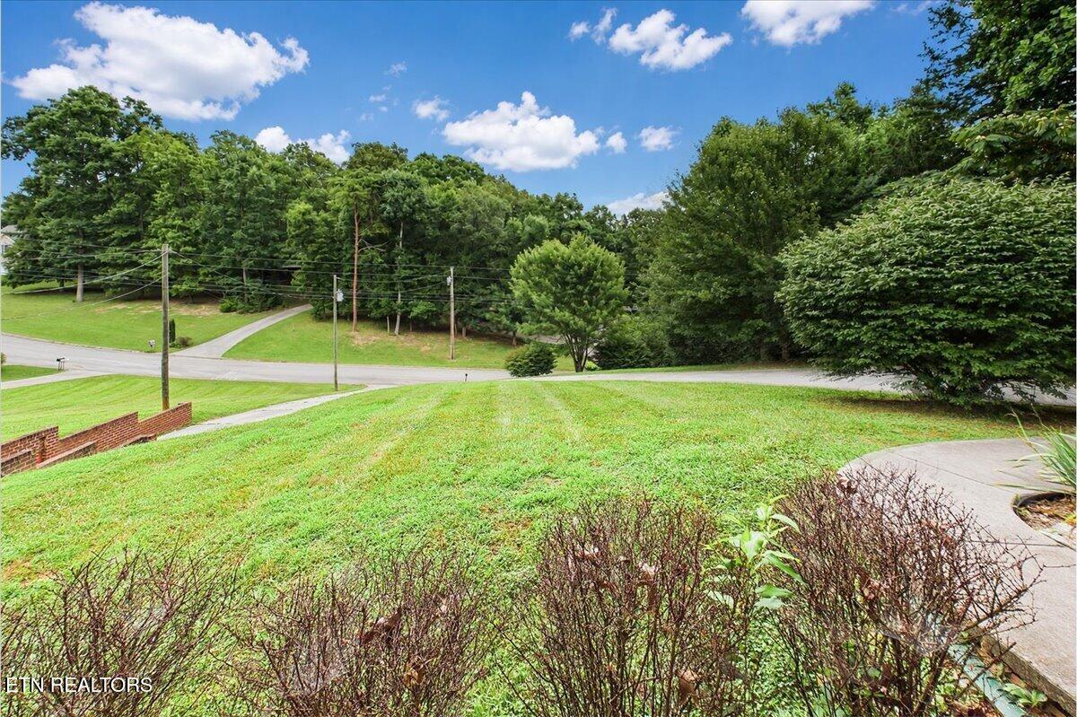 2599 Kaley Drive Talbott TN 37877