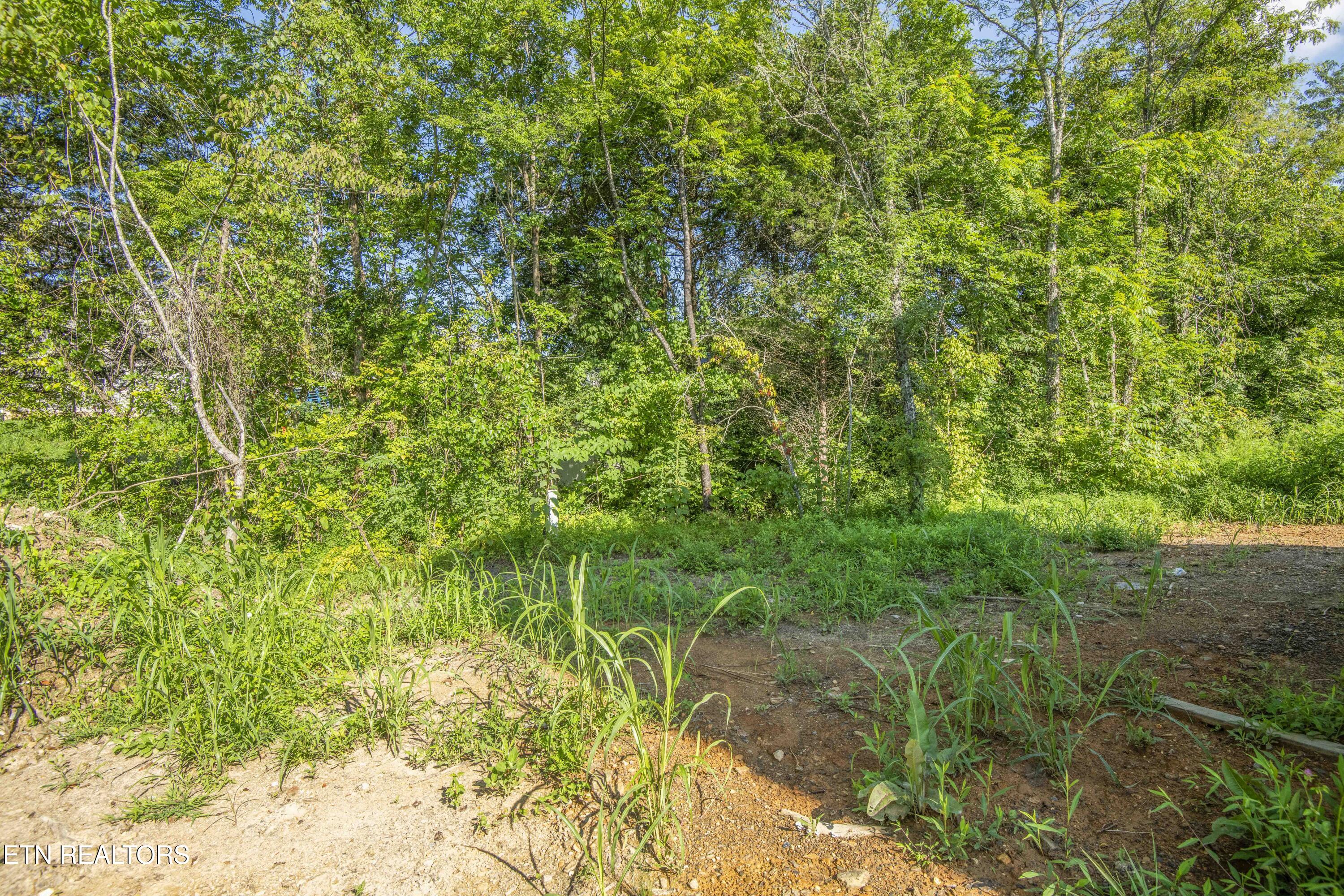 Rock Gardens Drive Sevierville TN 37876