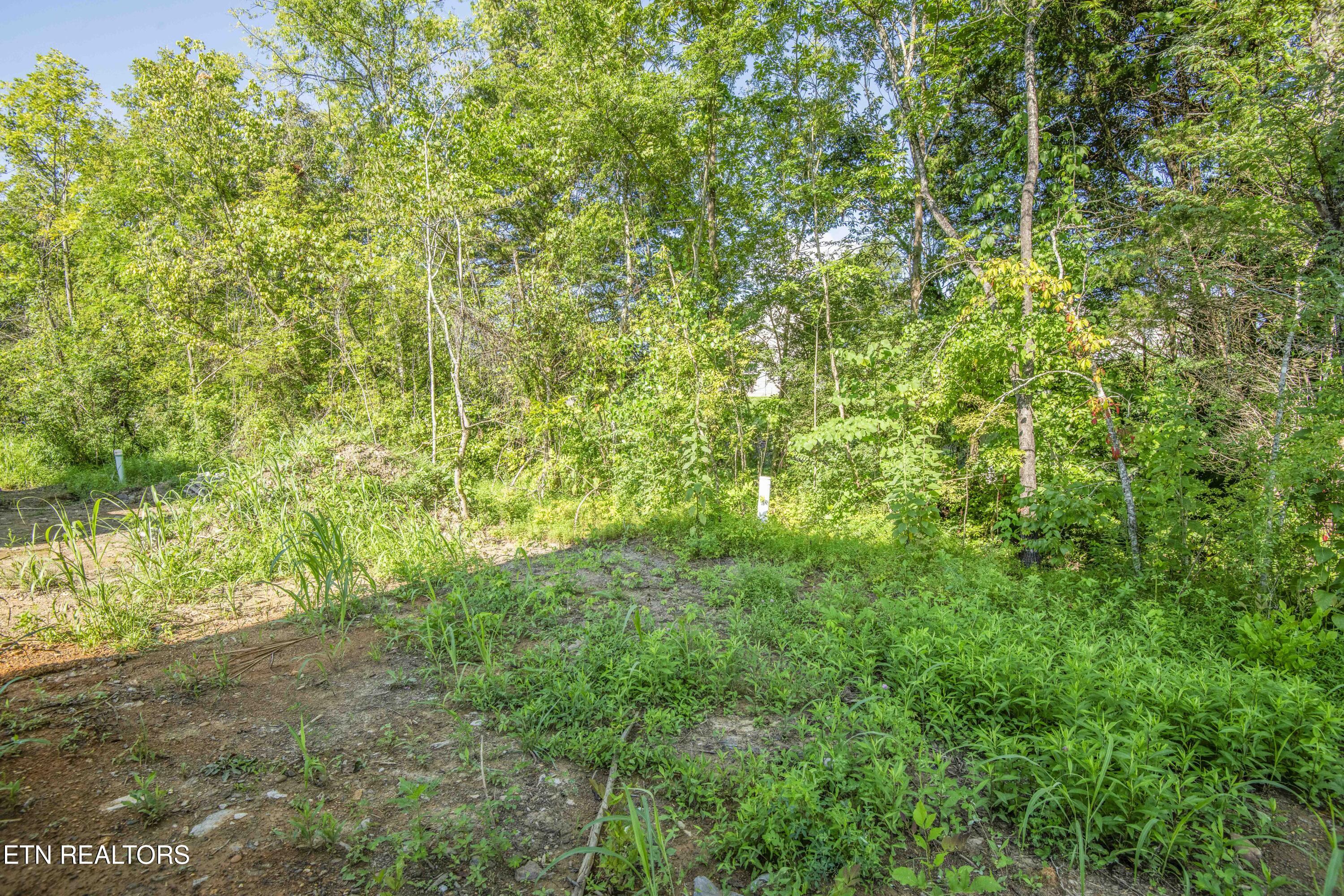 Rock Gardens Drive Sevierville TN 37876