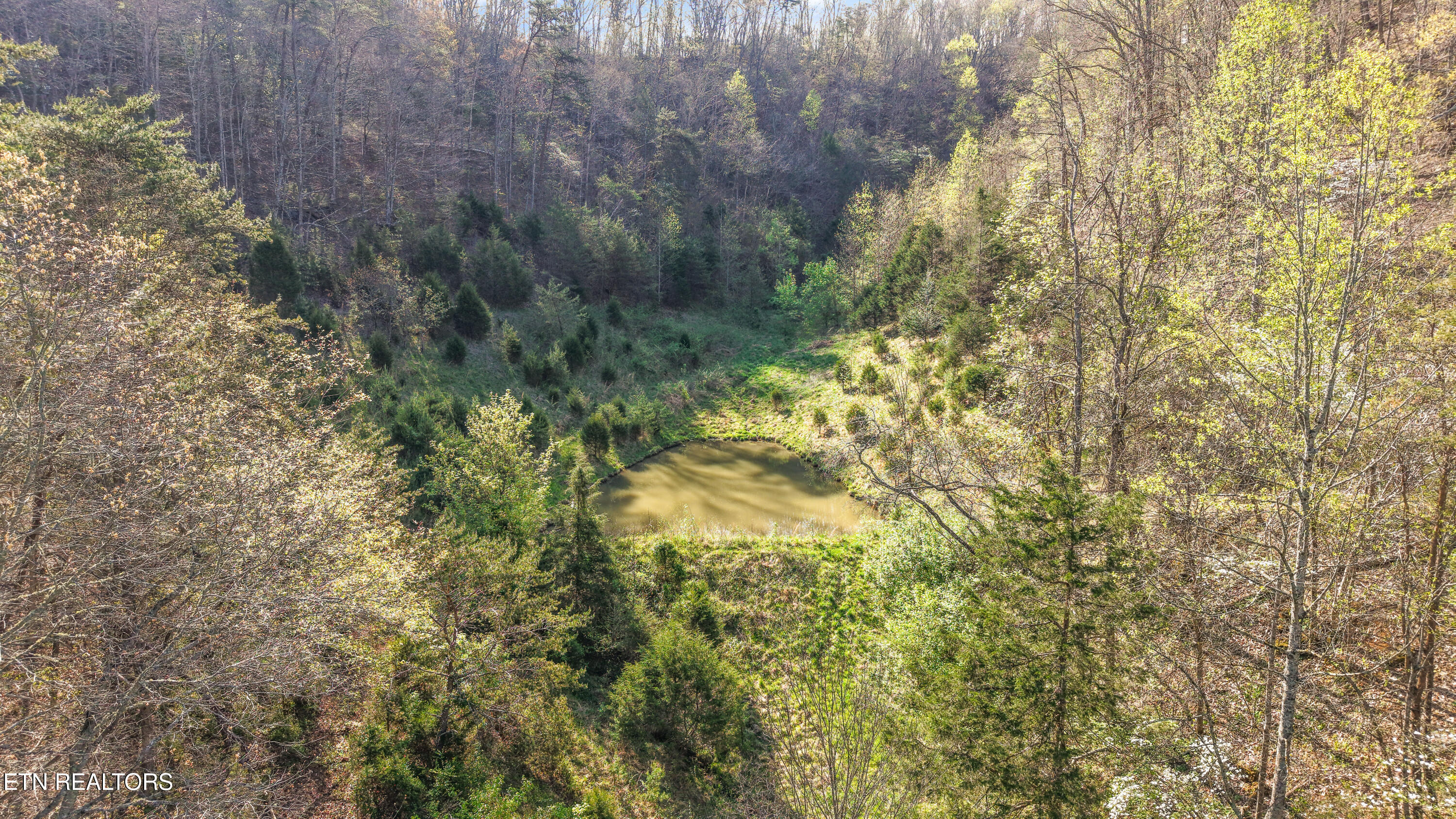 542 Back Valley Road Sneedville TN 37869