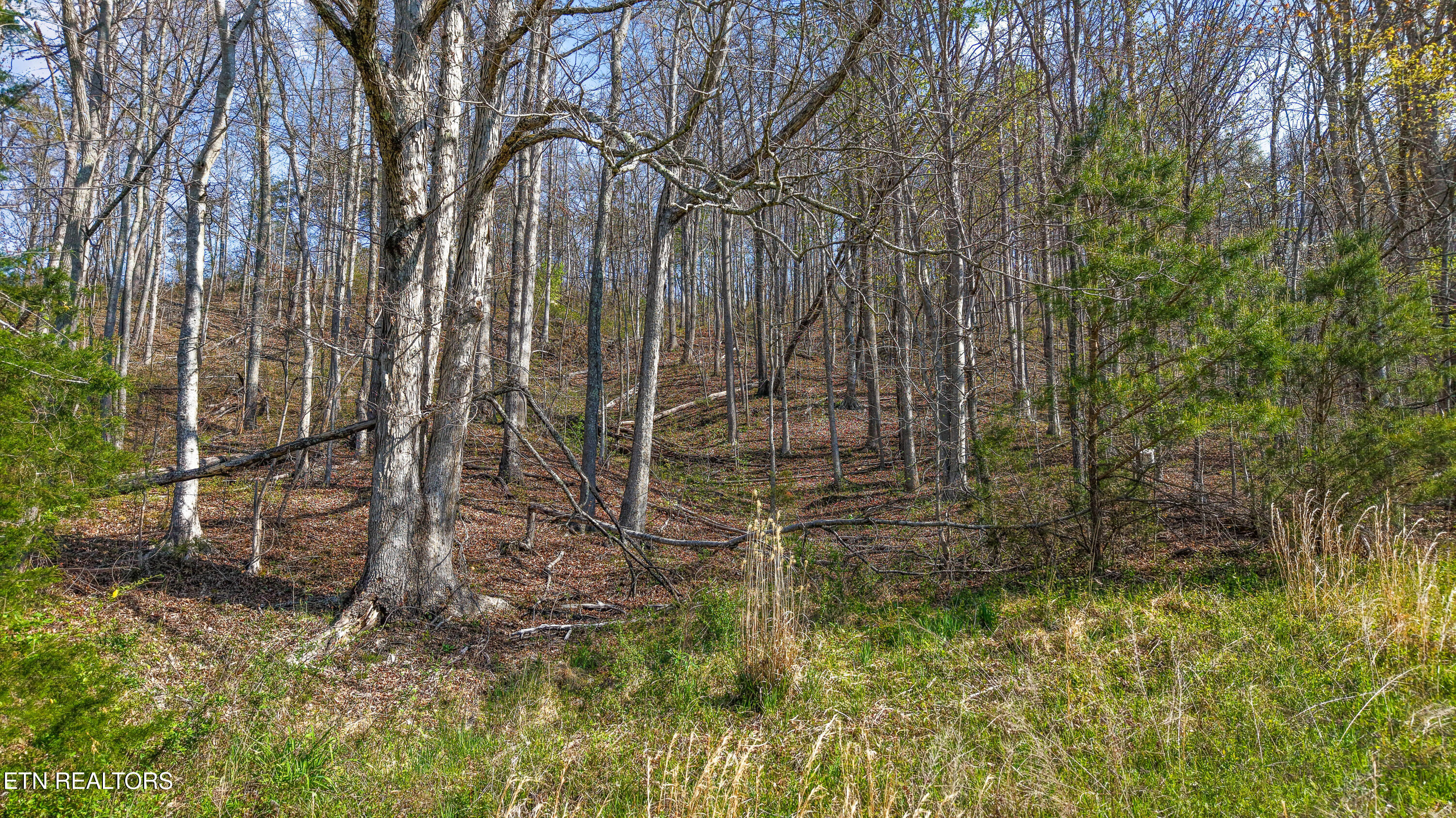 542 Back Valley Road Sneedville TN 37869