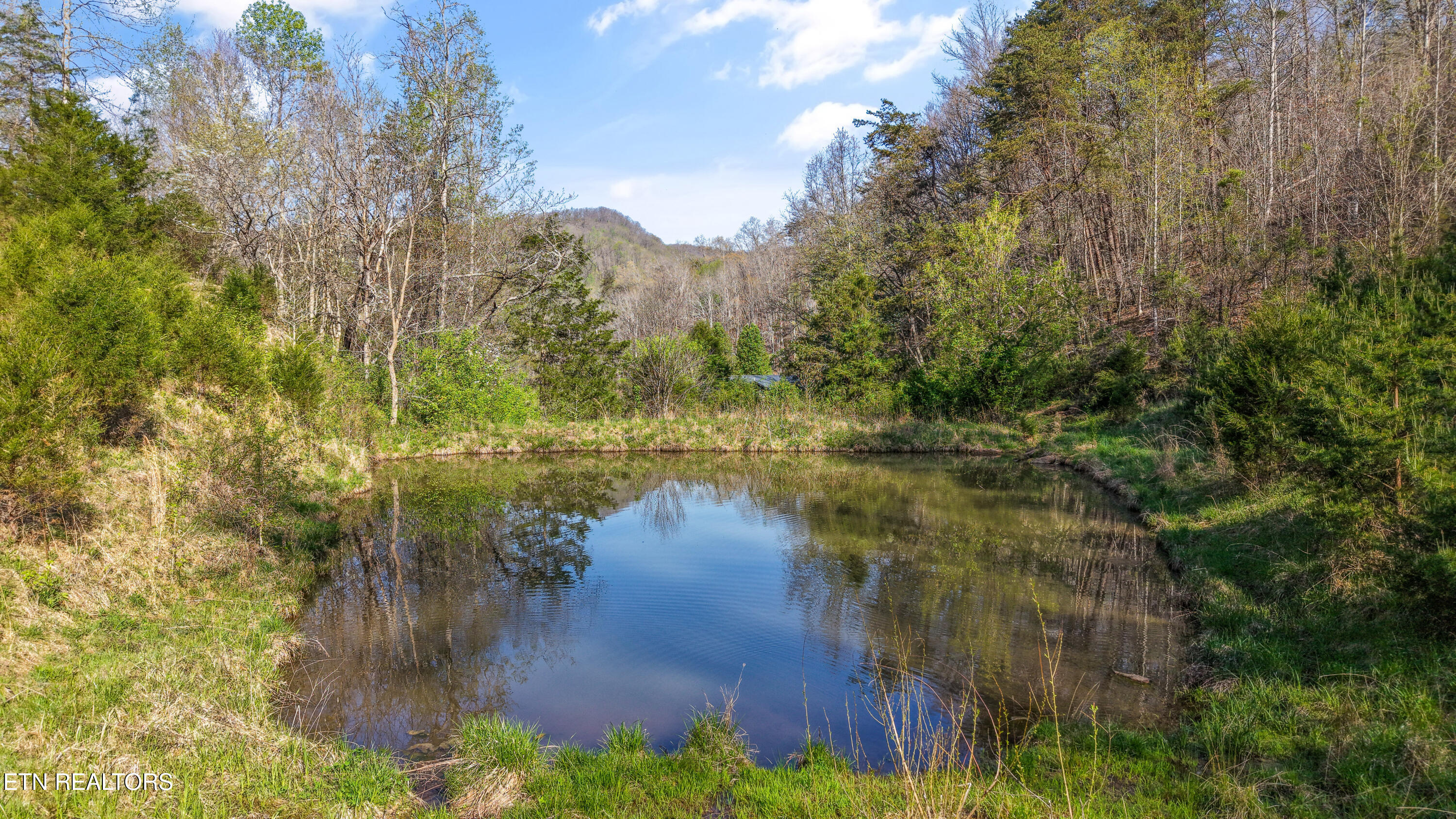 542 Back Valley Road Sneedville TN 37869