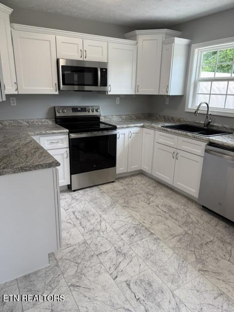 115 Susack Lane Wartburg TN 37887