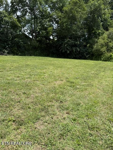 115 Susack Lane Wartburg TN 37887