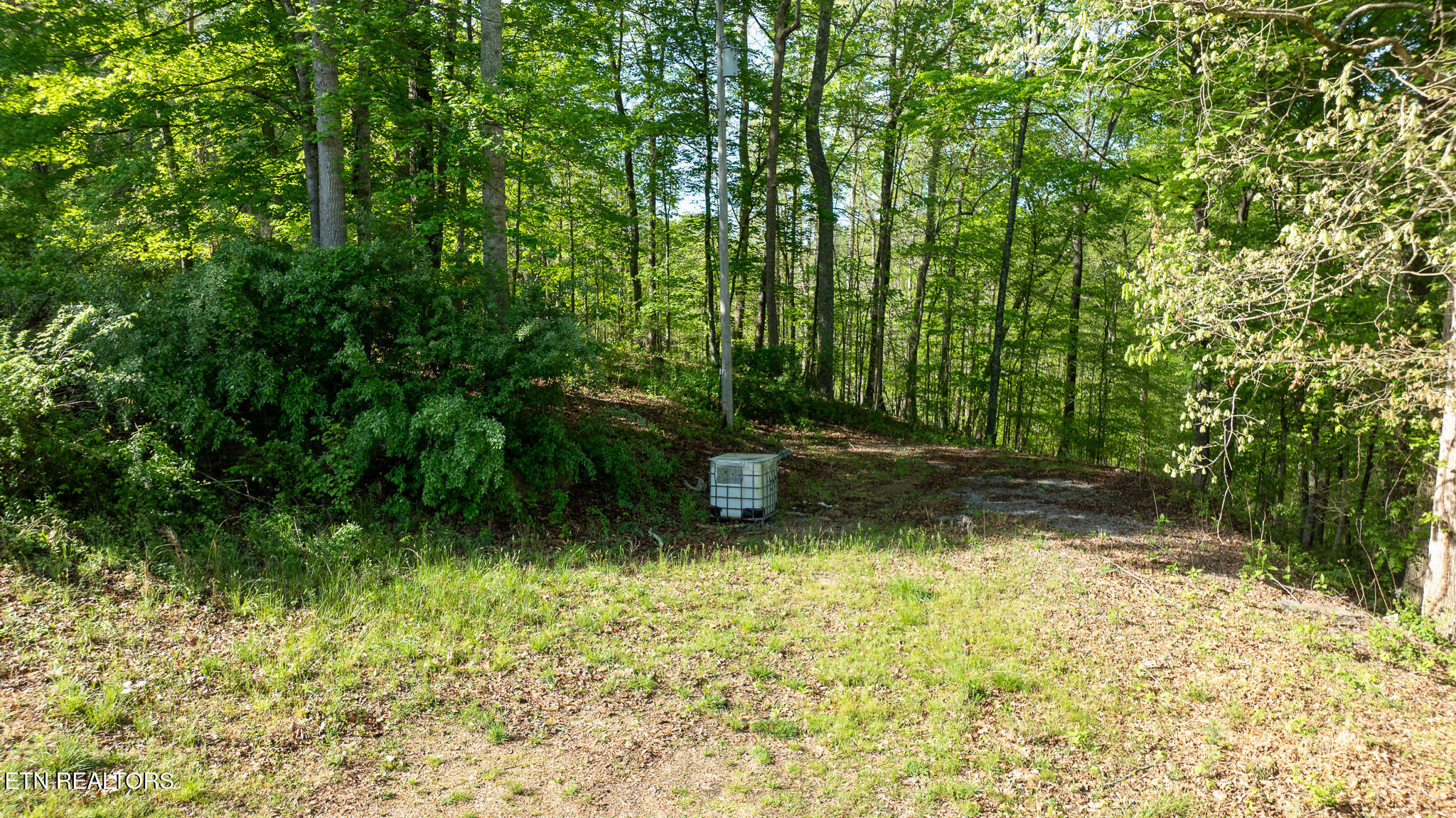 120 Huckleberry Lane Rocky Top TN 37769