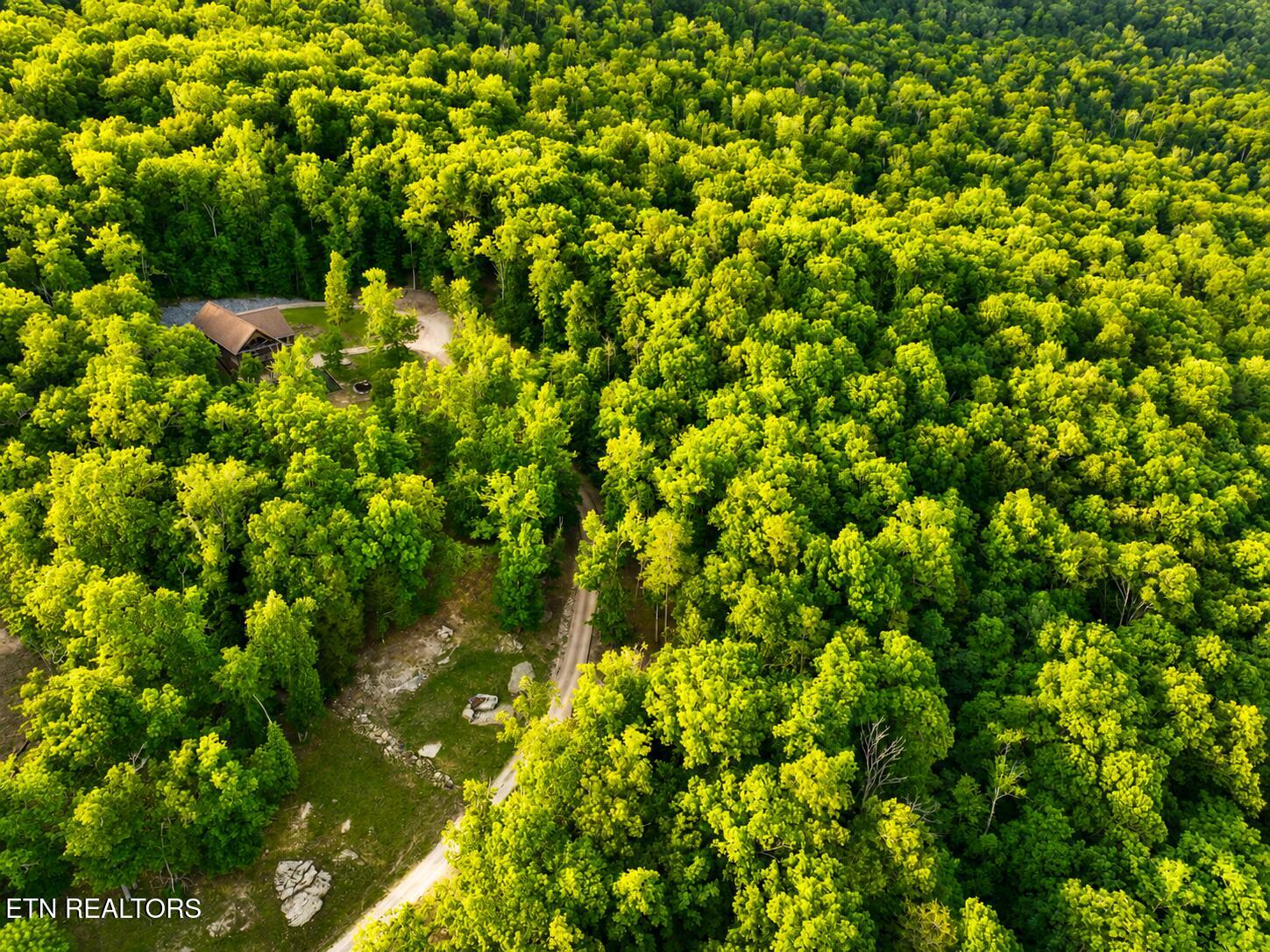 617 Cheyenne Drive Jamestown TN 38556