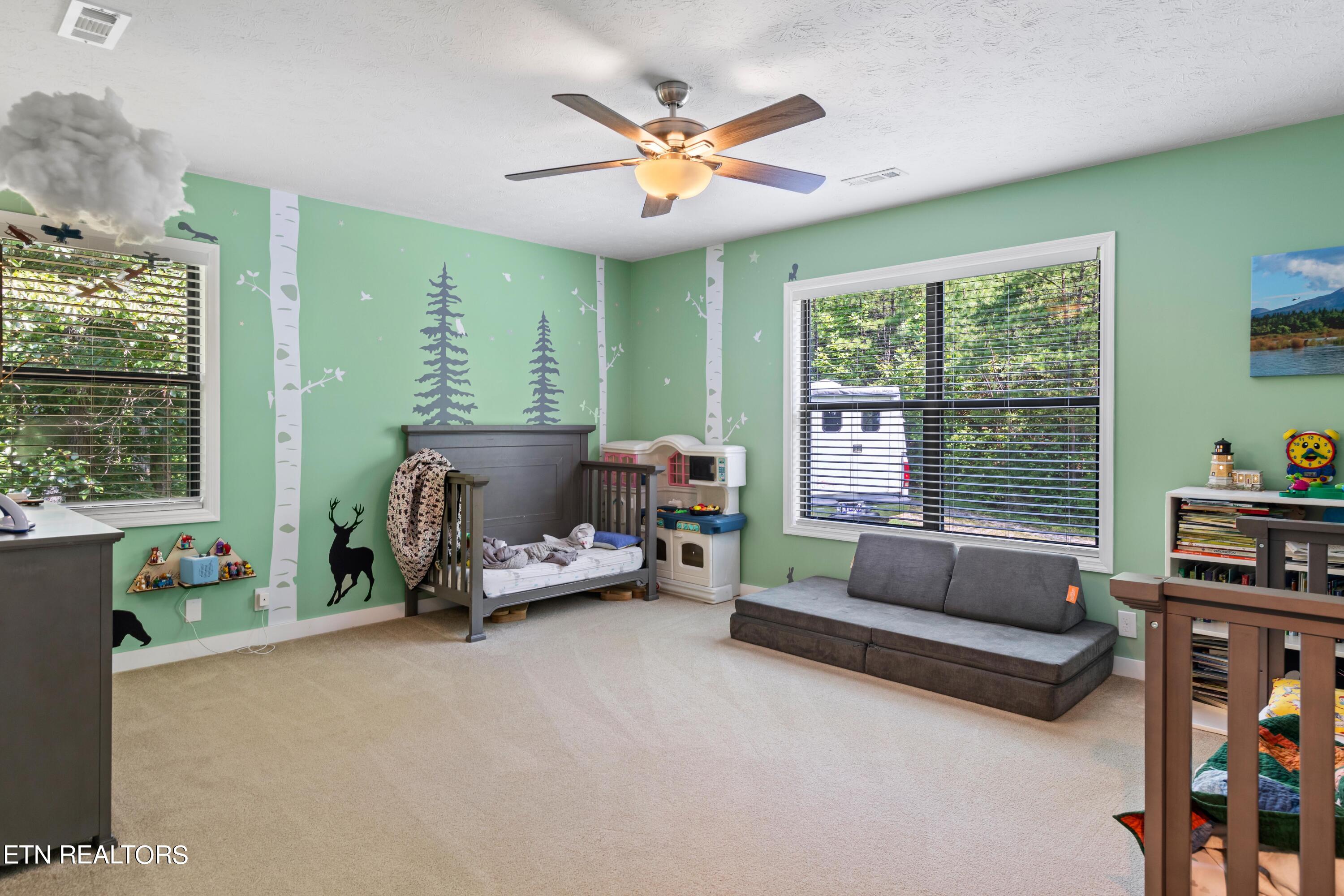 4822 White Pine Way Sevierville TN 37876