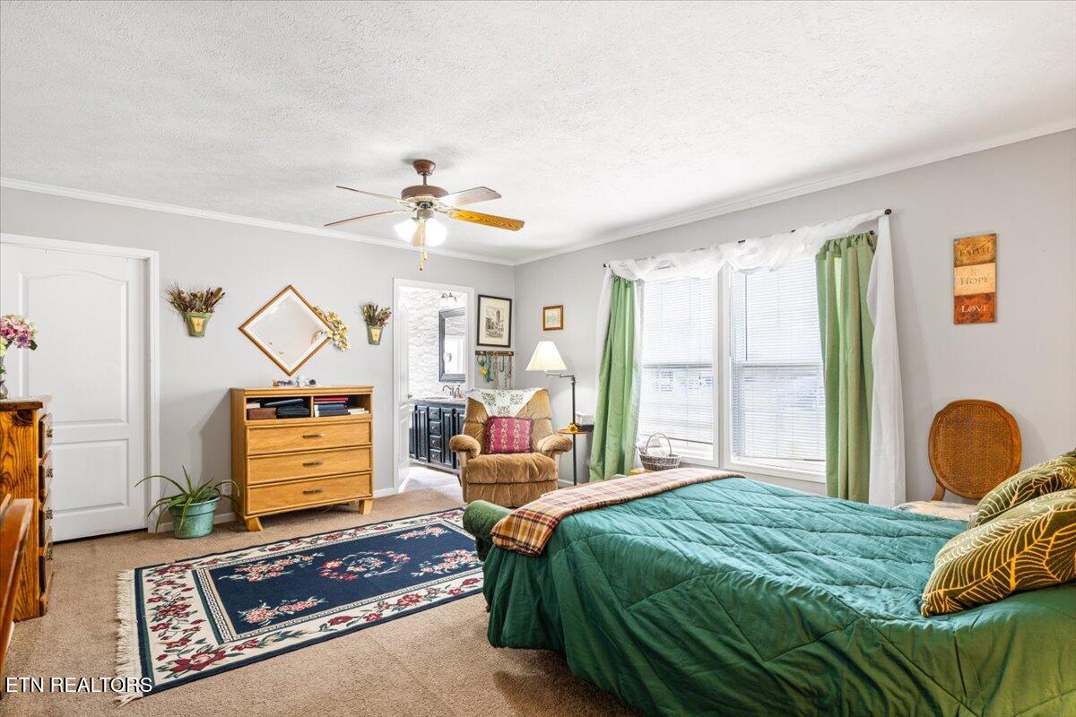 2940 Grave Hill Road Oneida TN 37841