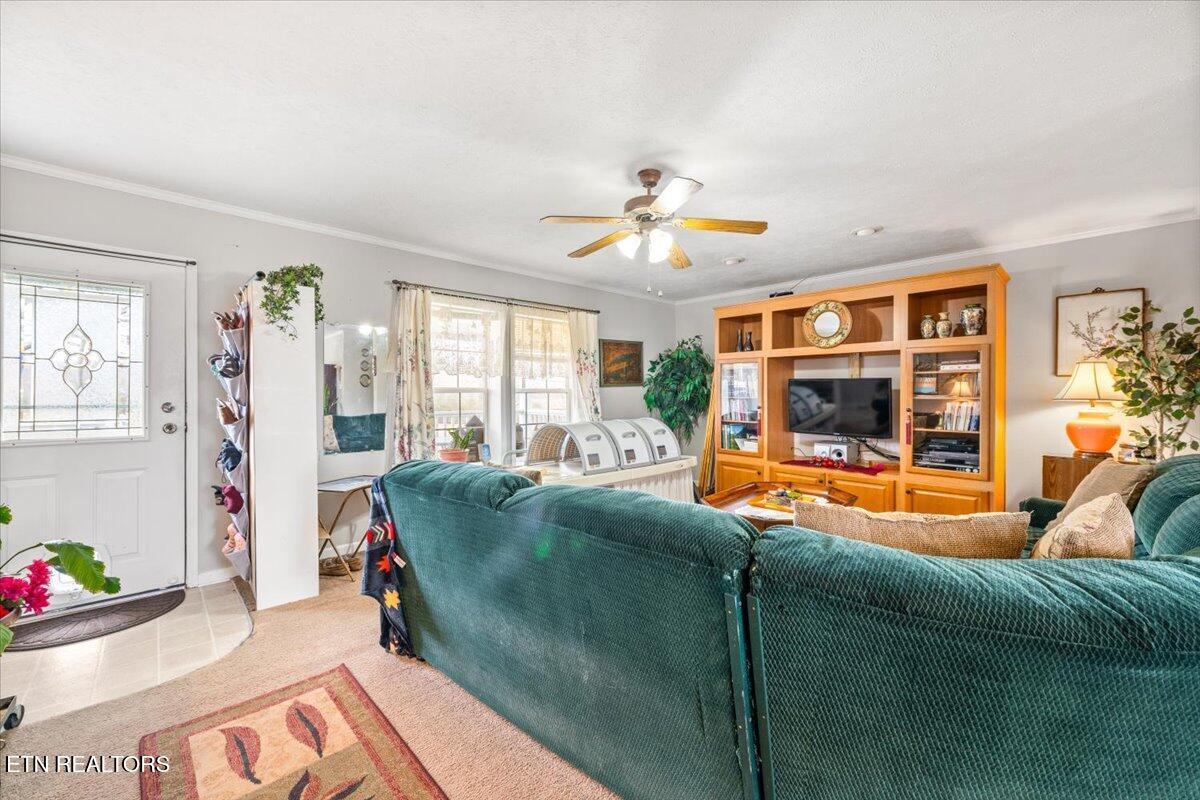 2940 Grave Hill Road Oneida TN 37841