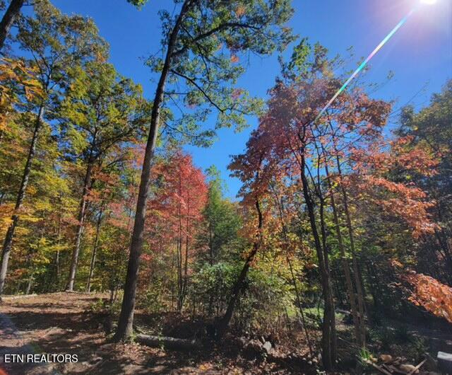 184 Tecumseh Trail Speedwell TN 37870