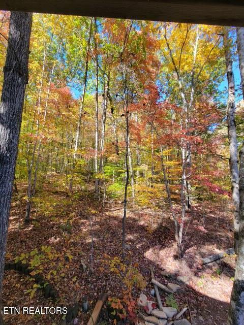 184 Tecumseh Trail Speedwell TN 37870