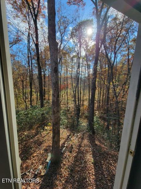 184 Tecumseh Trail Speedwell TN 37870