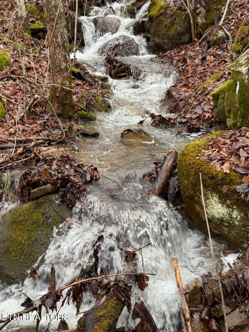 184 Tecumseh Trail Speedwell TN 37870