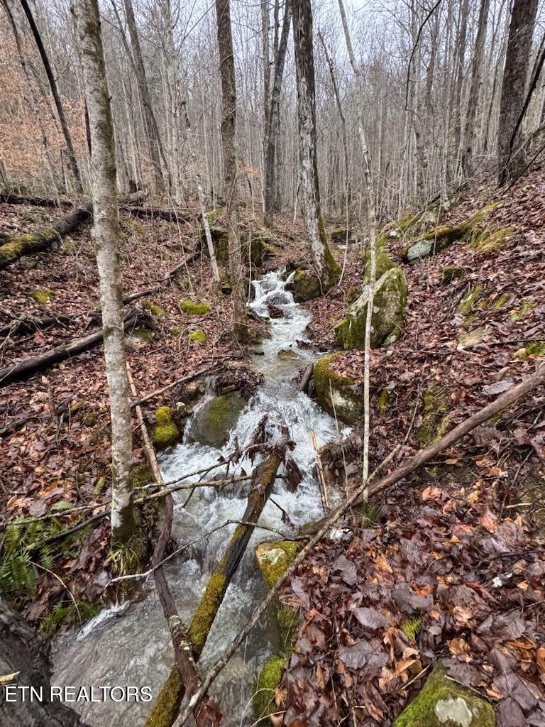 184 Tecumseh Trail Speedwell TN 37870