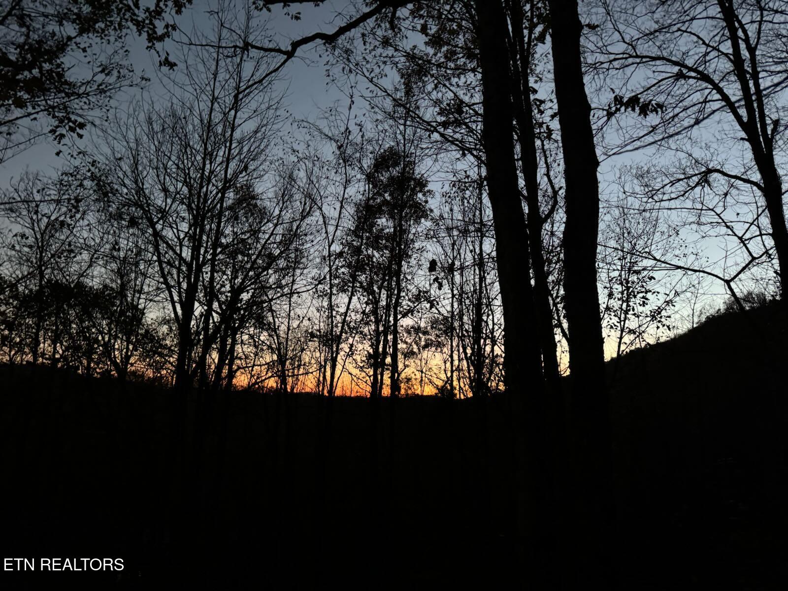 184 Tecumseh Trail Speedwell TN 37870