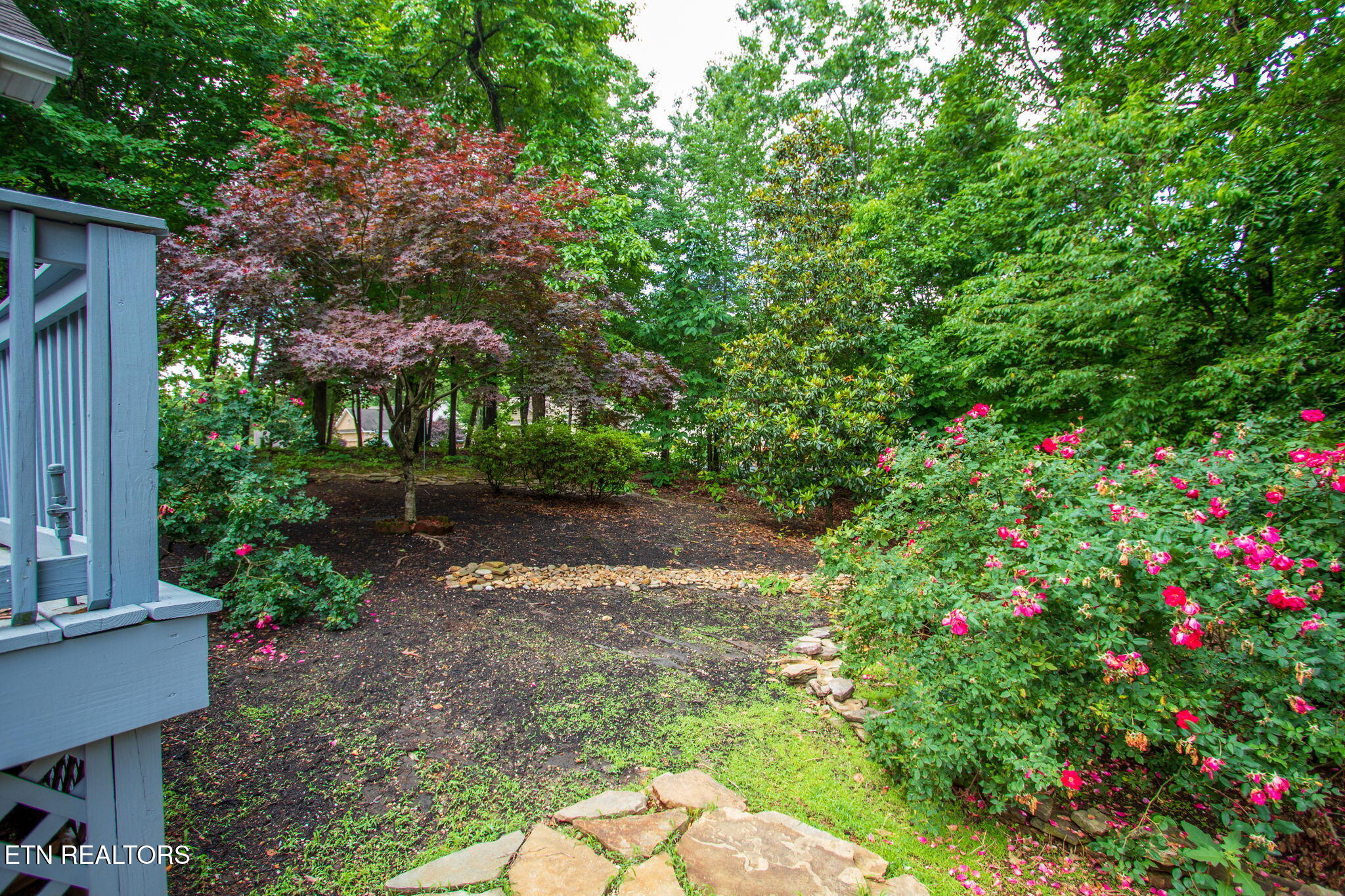 208 Geya Lane Loudon TN 37774