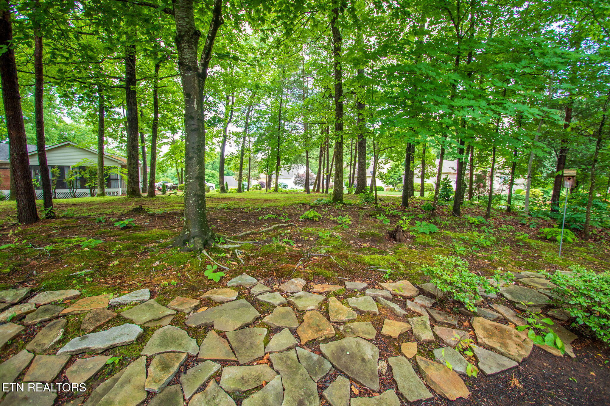 208 Geya Lane Loudon TN 37774