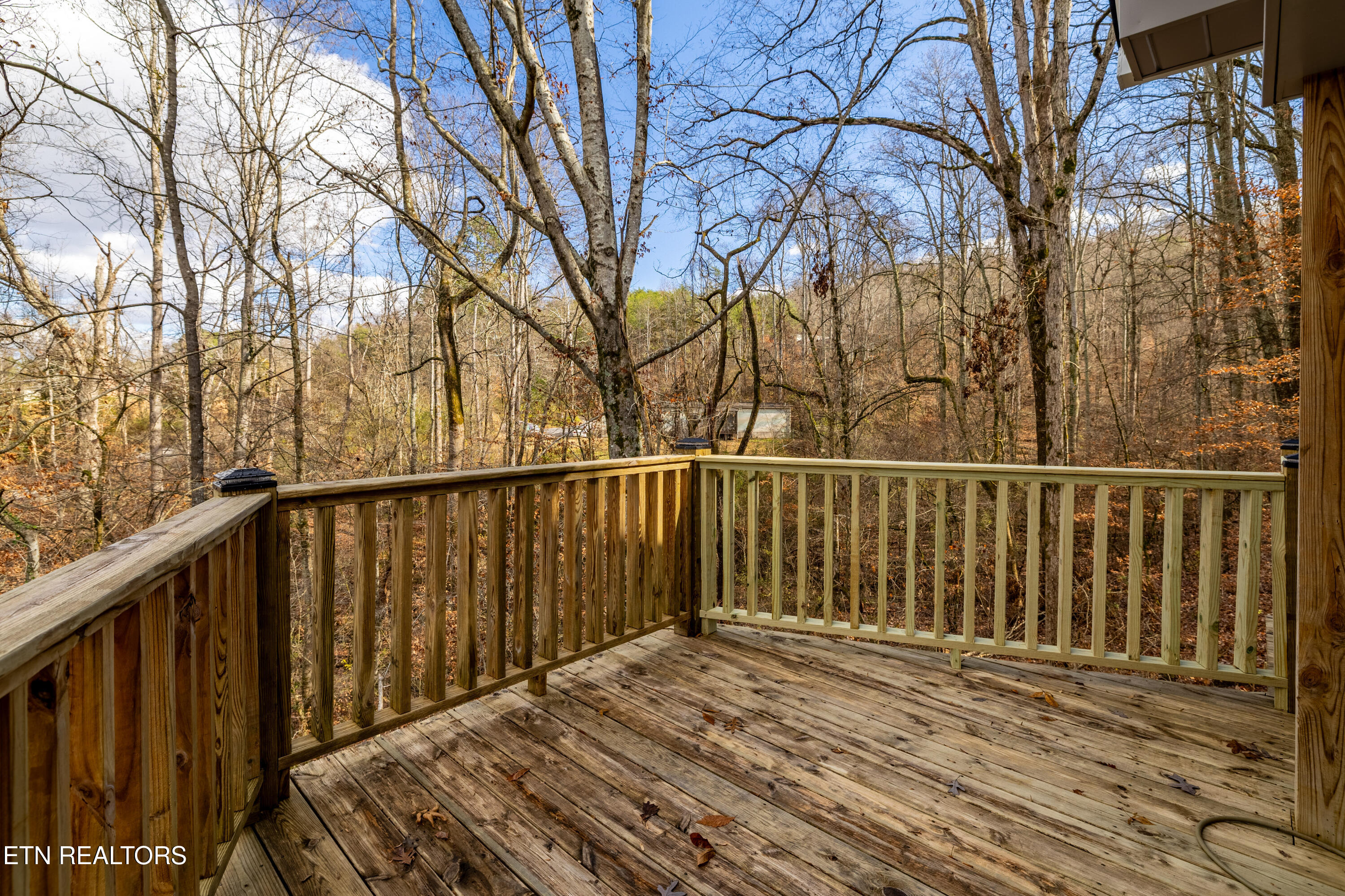 3883 Freels Road Friendsville TN 37737