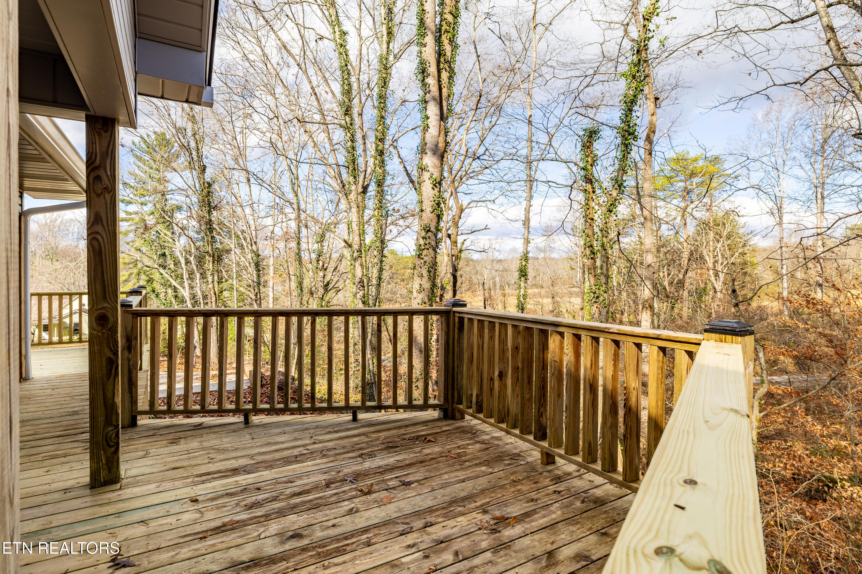 3883 Freels Road Friendsville TN 37737