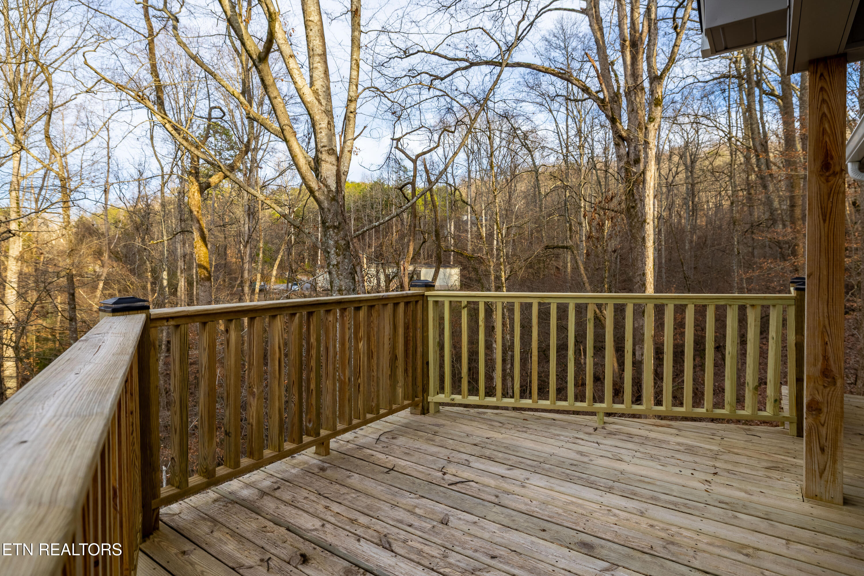 3883 Freels Road Friendsville TN 37737