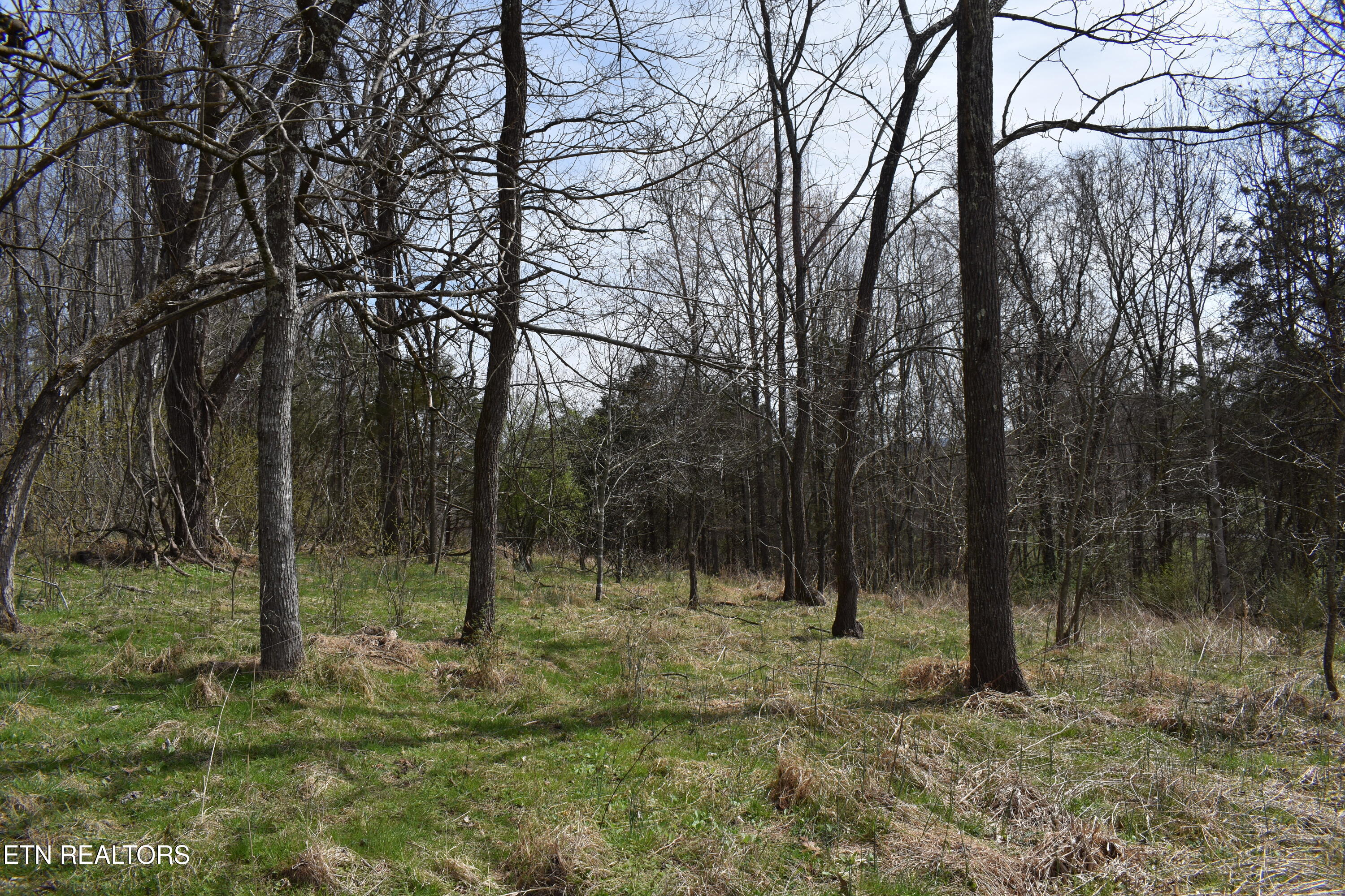 1847 Mount Zion Road Tazewell TN 37879