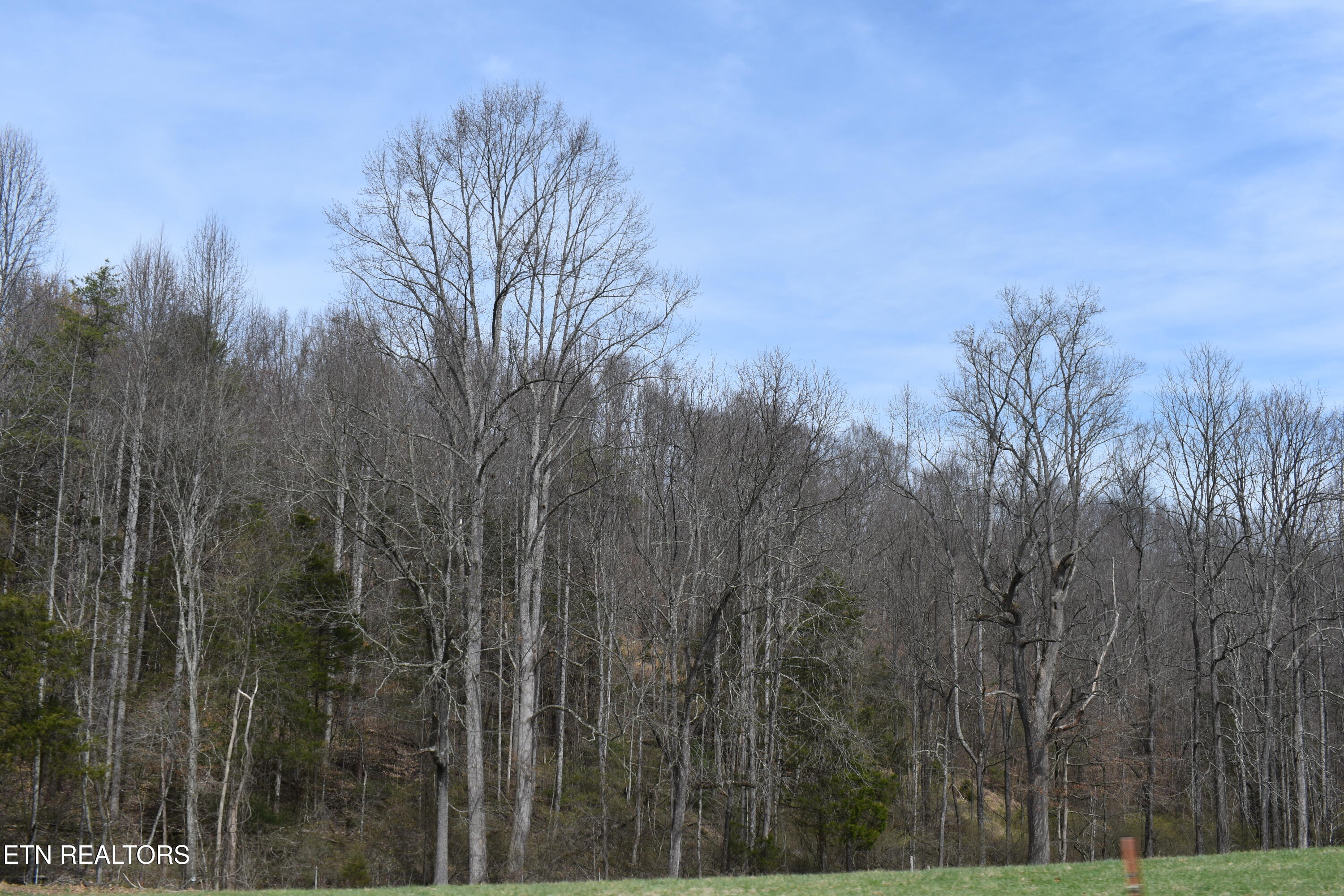 1847 Mount Zion Road Tazewell TN 37879