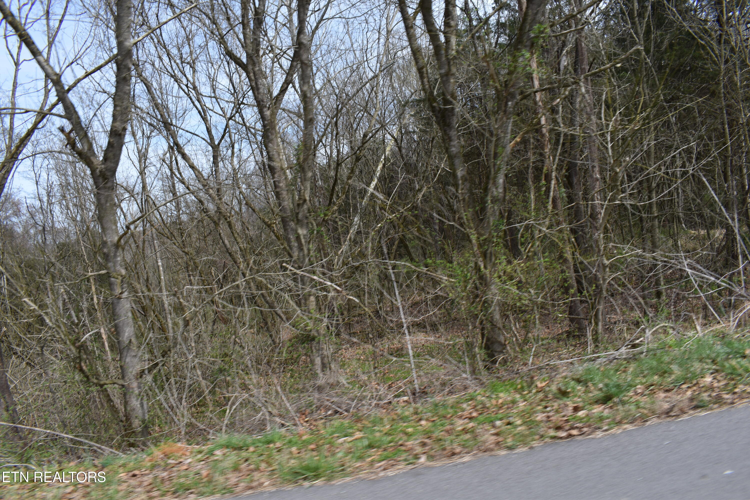 1847 Mount Zion Road Tazewell TN 37879