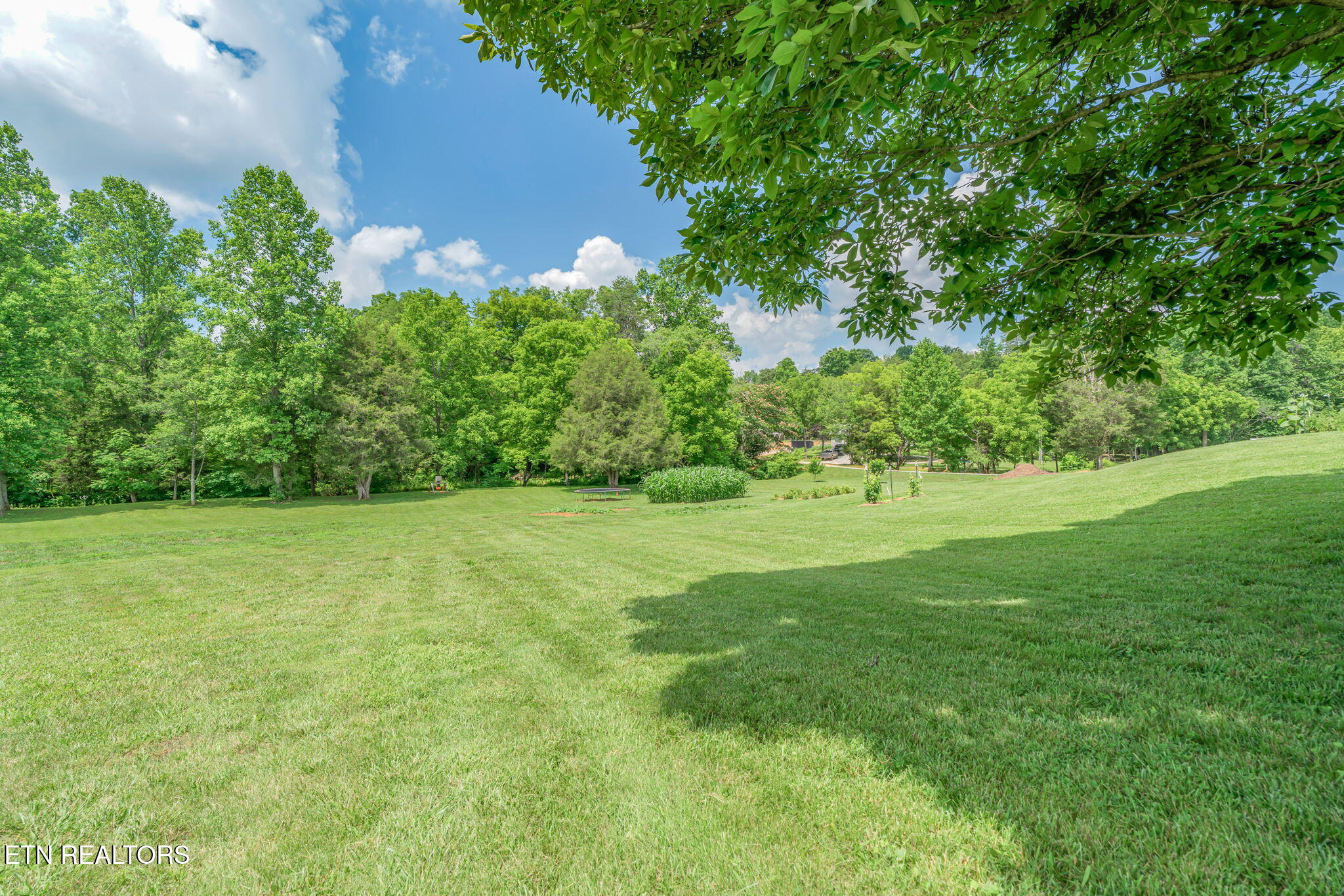 286 Jd Farms Road Tellico Plains TN 37385