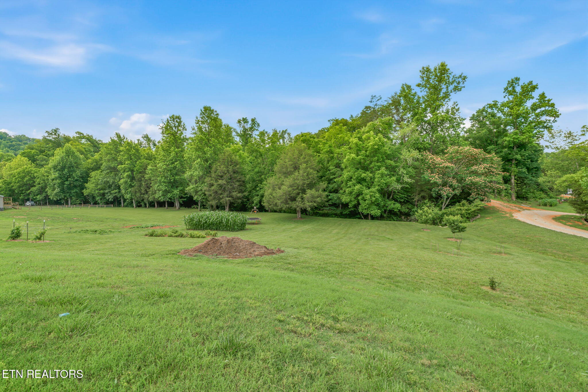 286 Jd Farms Road Tellico Plains TN 37385
