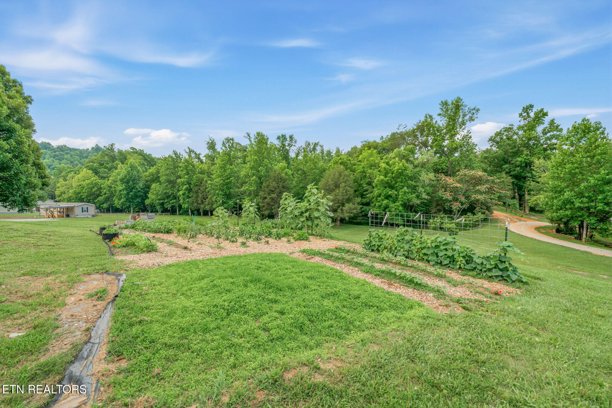 286 Jd Farms Road Tellico Plains TN 37385