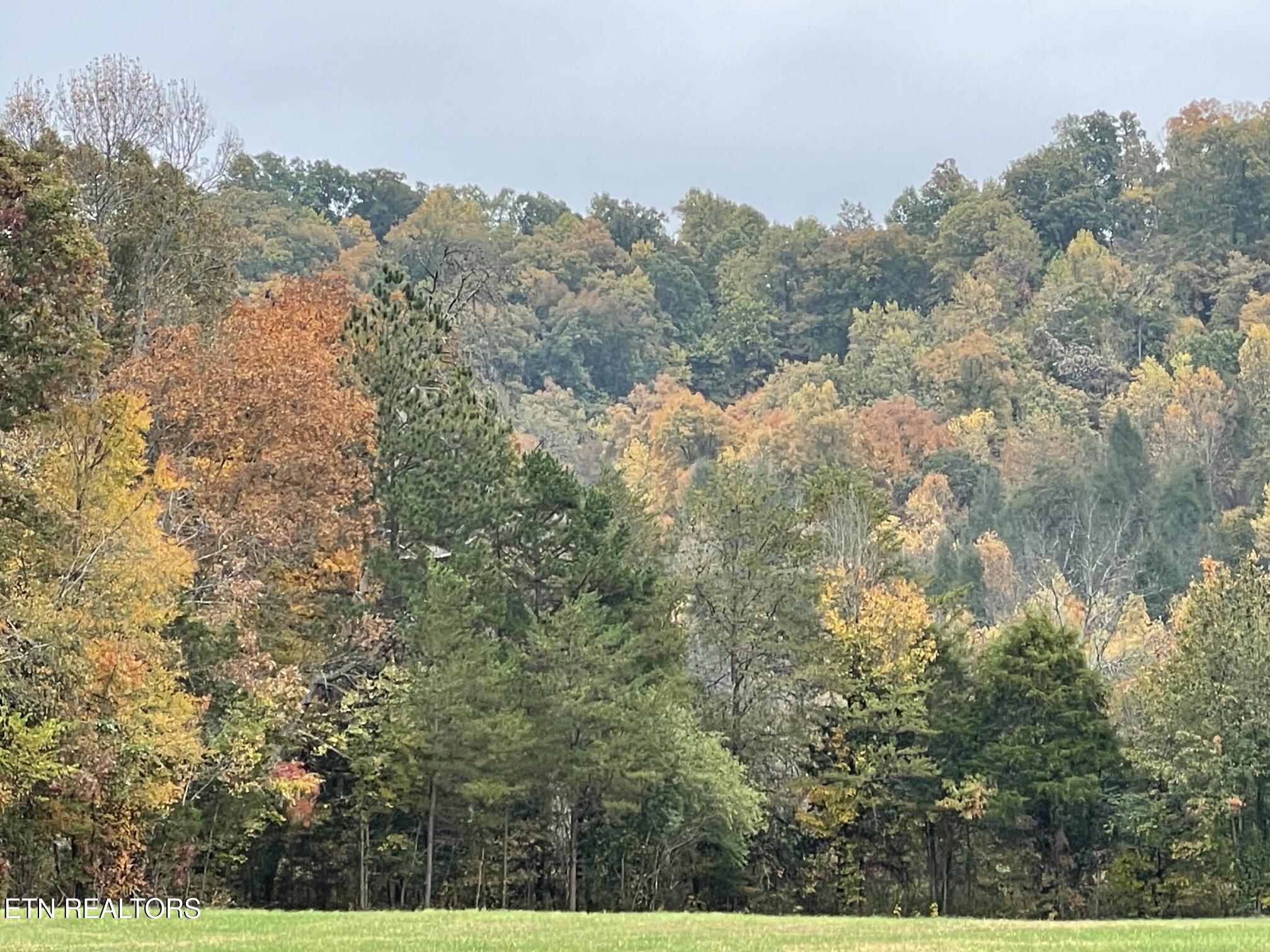 286 Jd Farms Road Tellico Plains TN 37385