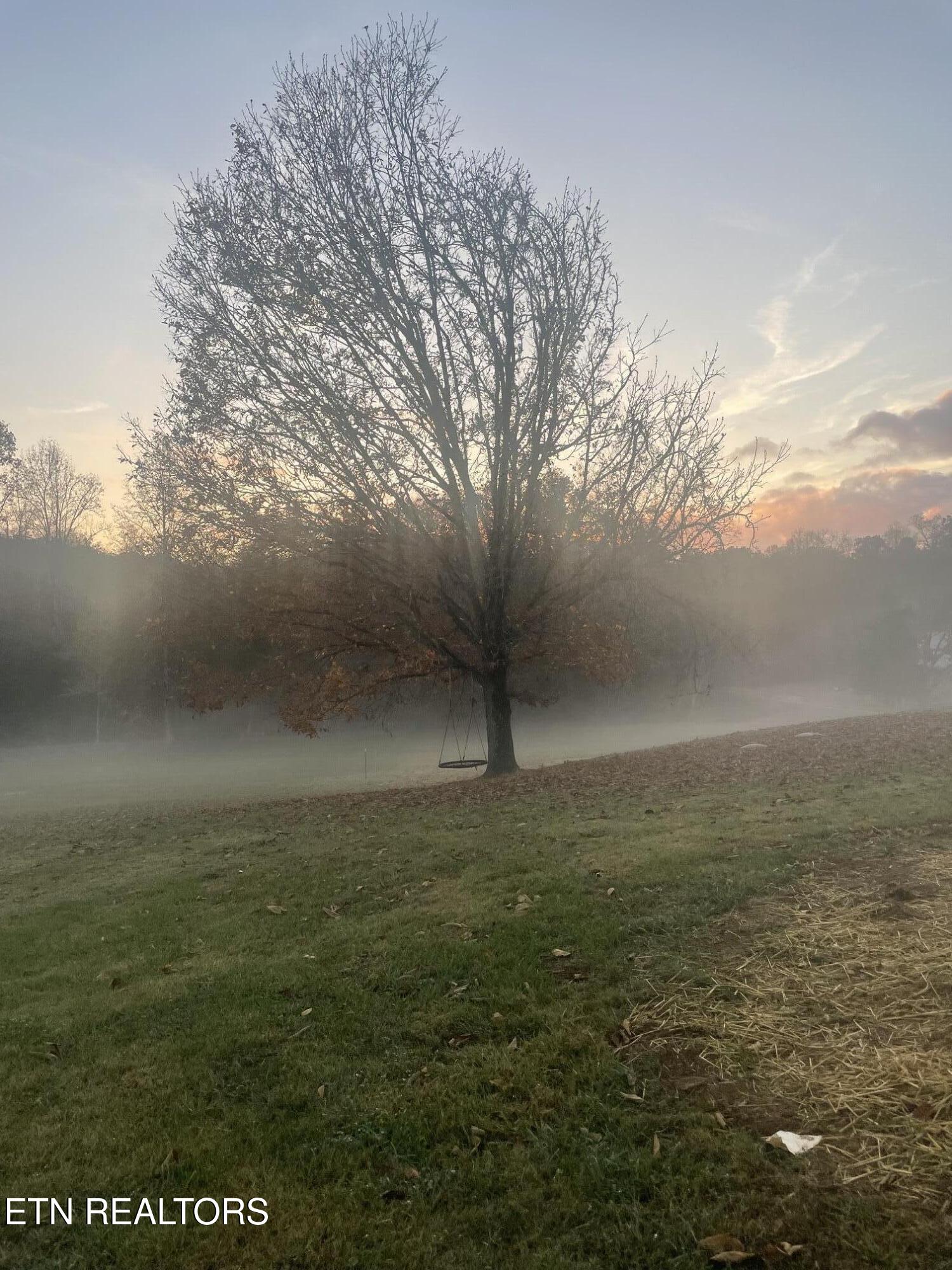 286 Jd Farms Road Tellico Plains TN 37385