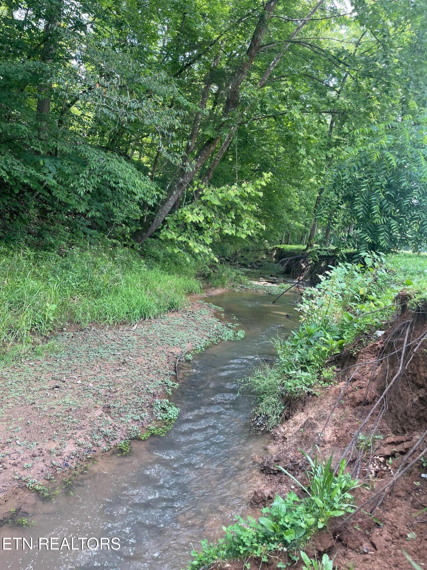 286 Jd Farms Road Tellico Plains TN 37385