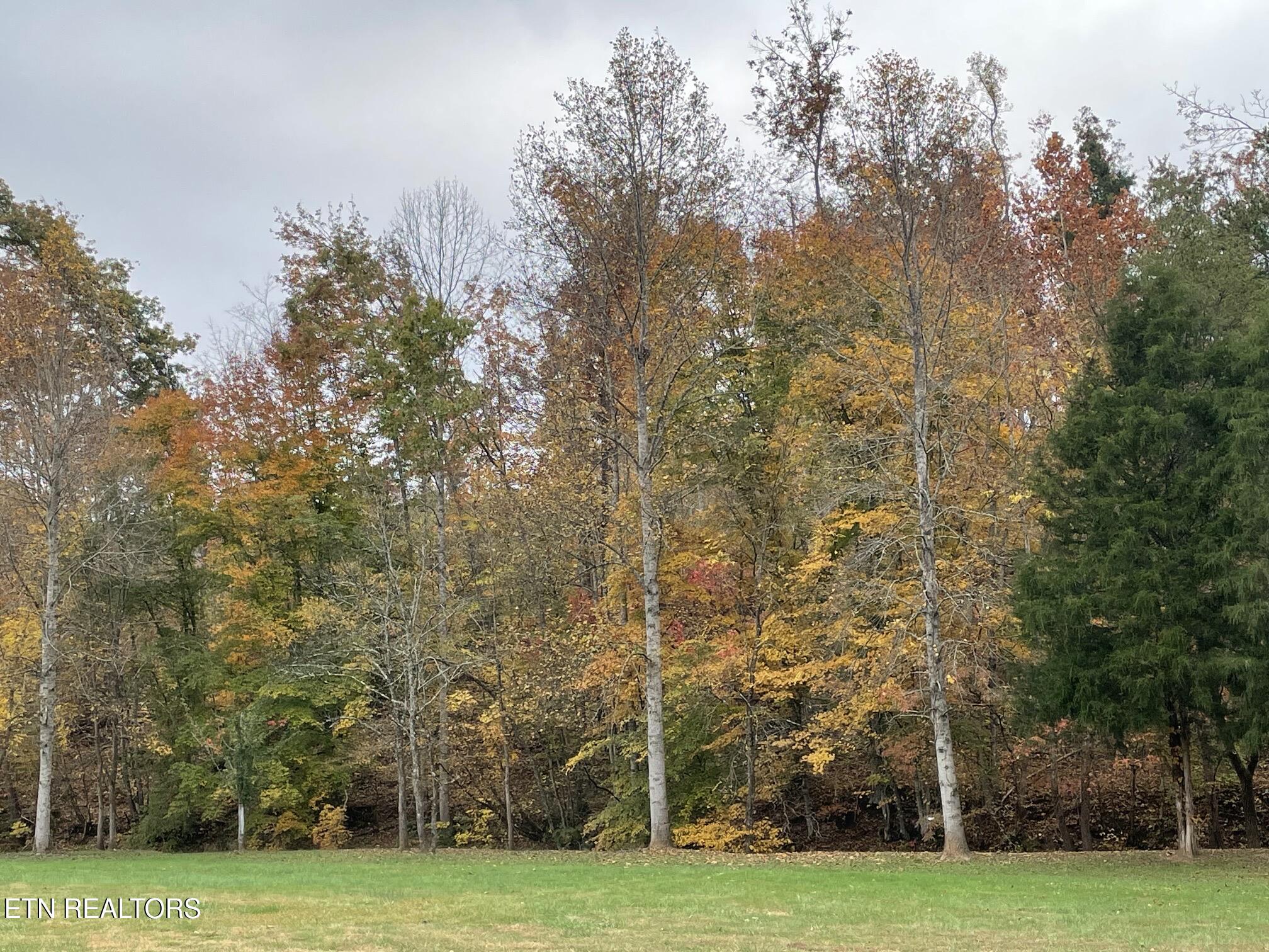 286 Jd Farms Road Tellico Plains TN 37385