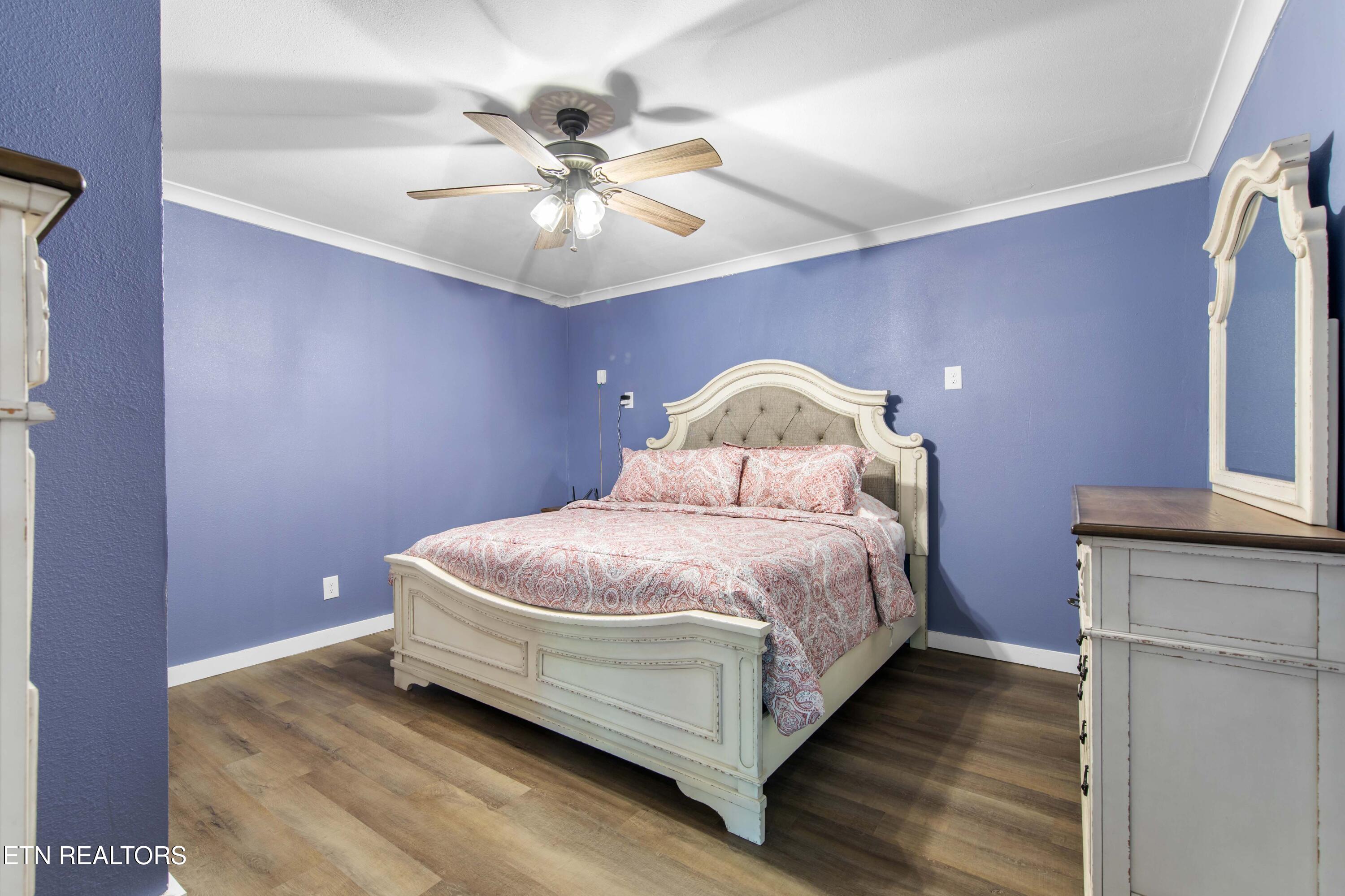 246 Cabbage Road Blaine TN 37709