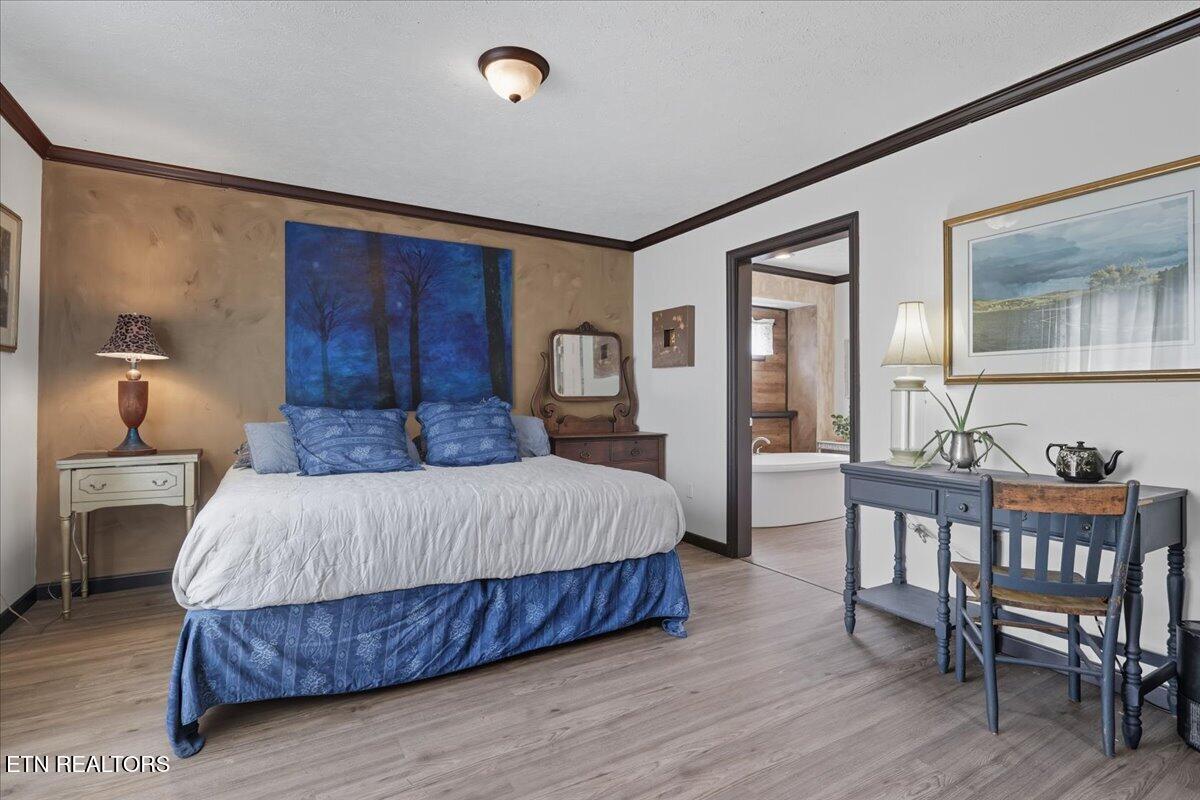340 Trigonia Road Greenback TN 37742