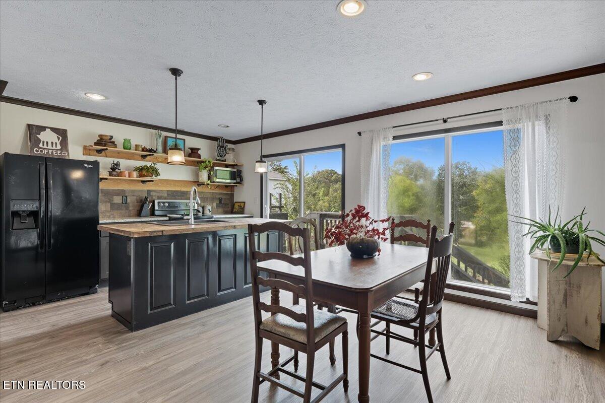 340 Trigonia Road Greenback TN 37742