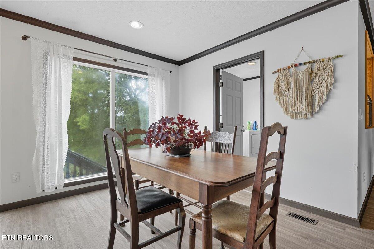 340 Trigonia Road Greenback TN 37742