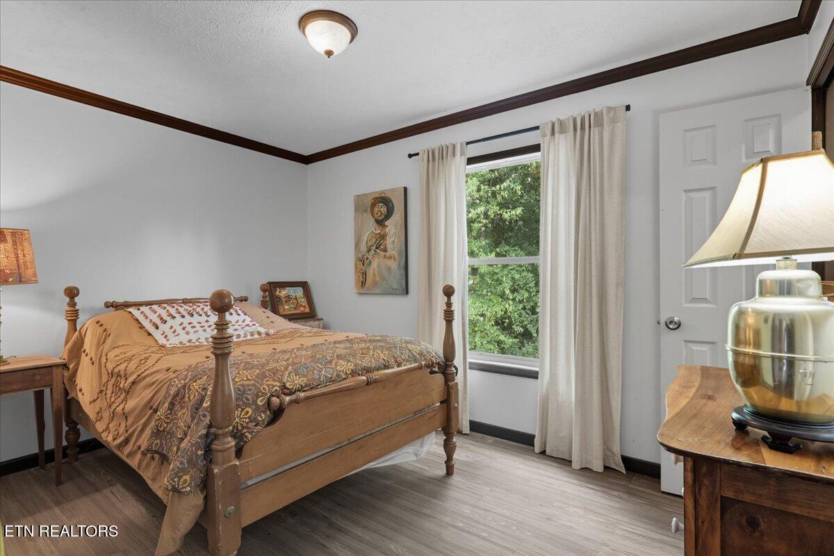 340 Trigonia Road Greenback TN 37742