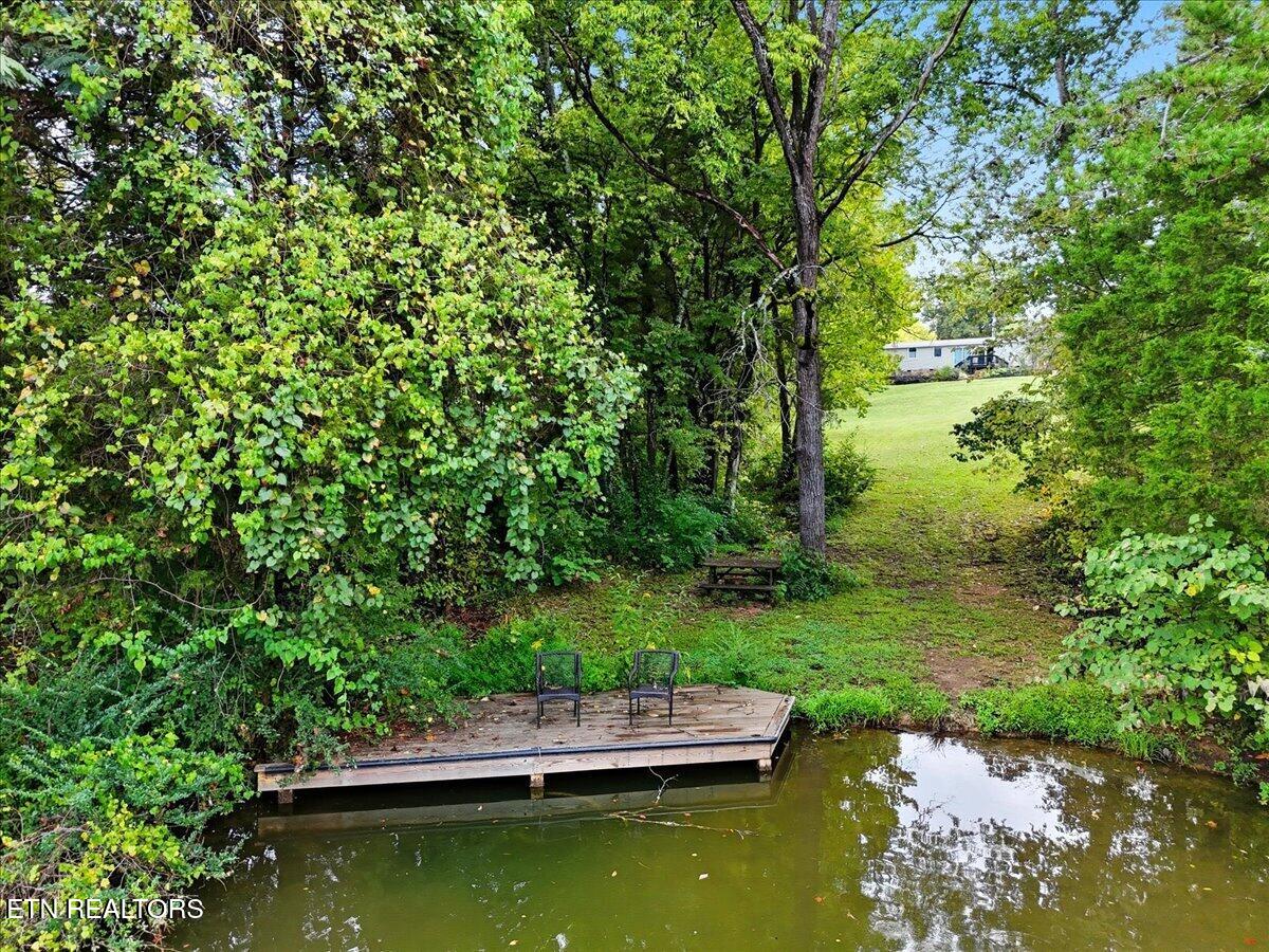 340 Trigonia Road Greenback TN 37742