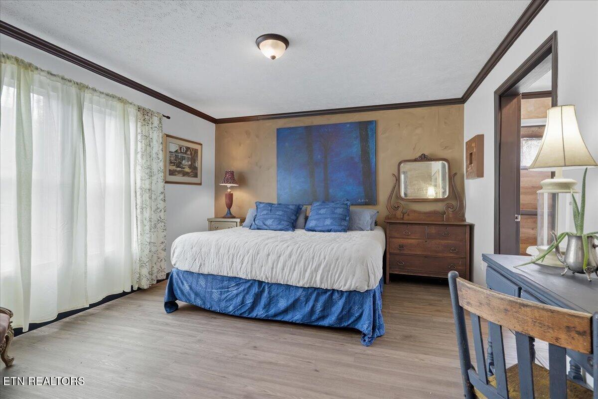 340 Trigonia Road Greenback TN 37742