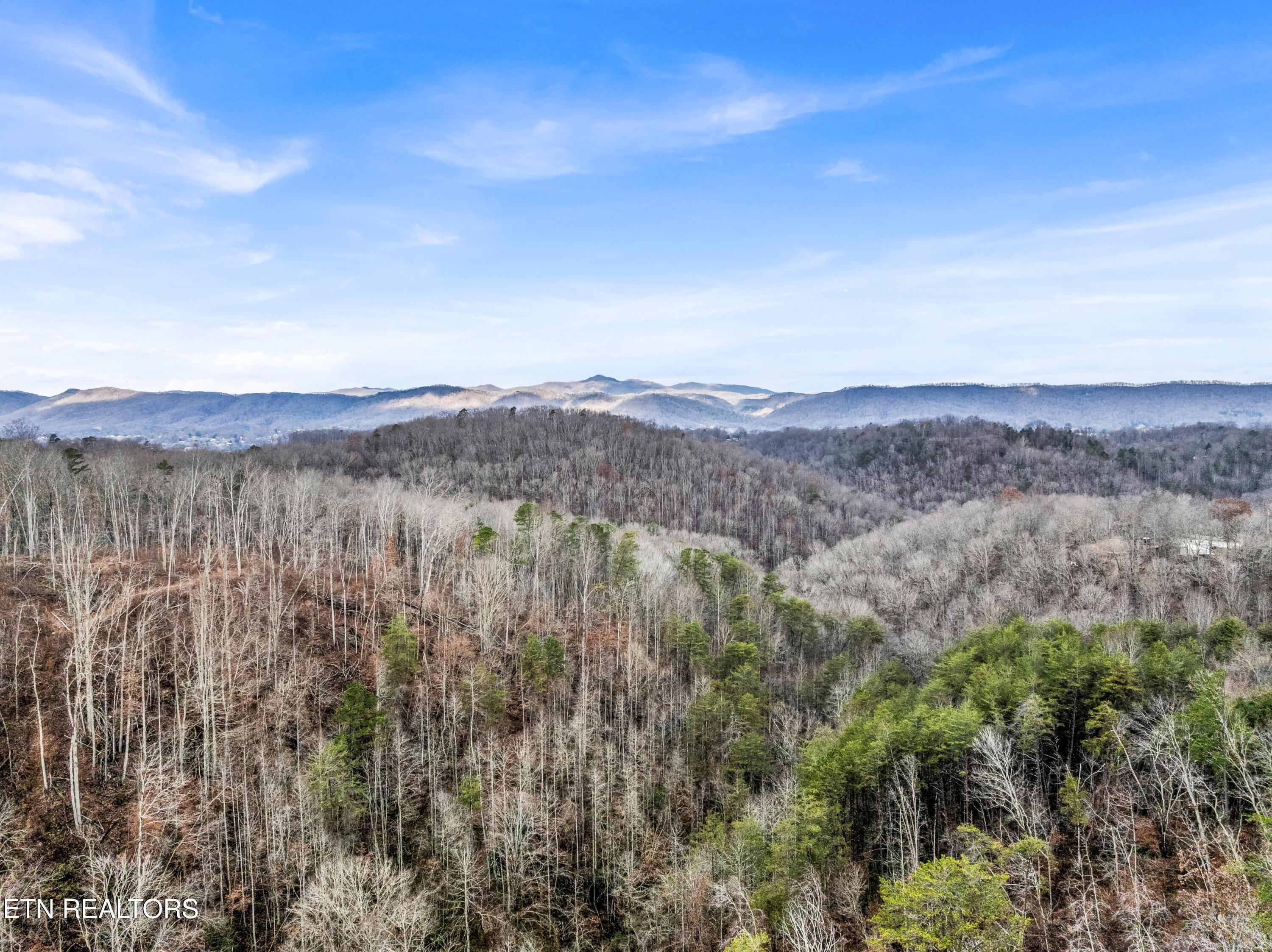 564 Quail Run Lane Lafollette TN 37766
