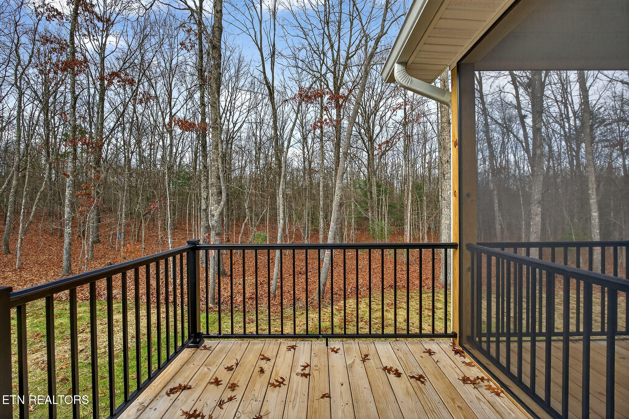 164 Hawes Circle Fairfield Glade TN 38558