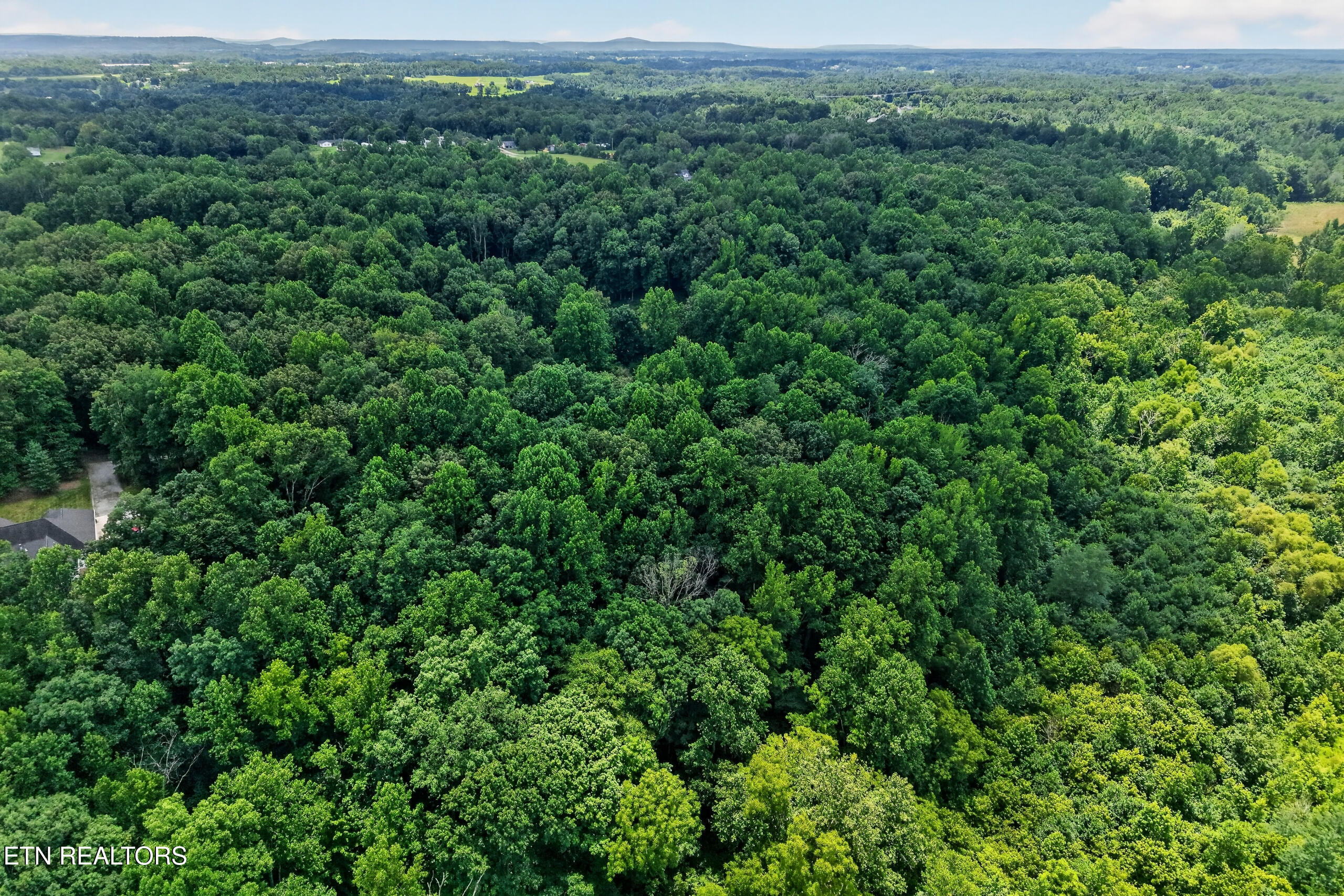 1403 Tanasi Trail Cookeville TN 38506